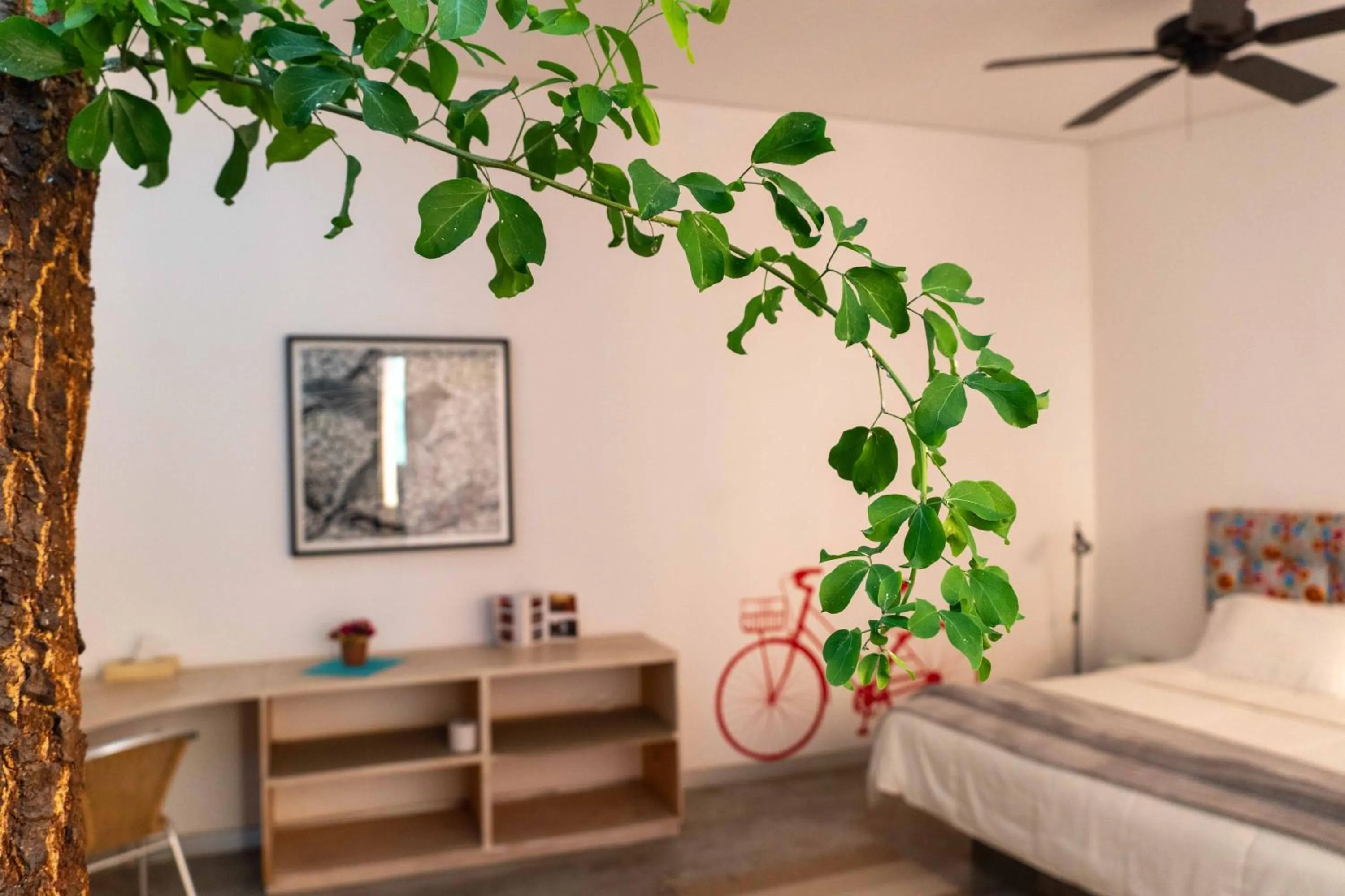 Photo of the whole room, Bed in Hotel Cosijo - San Jeronimo Tlacochahuaya