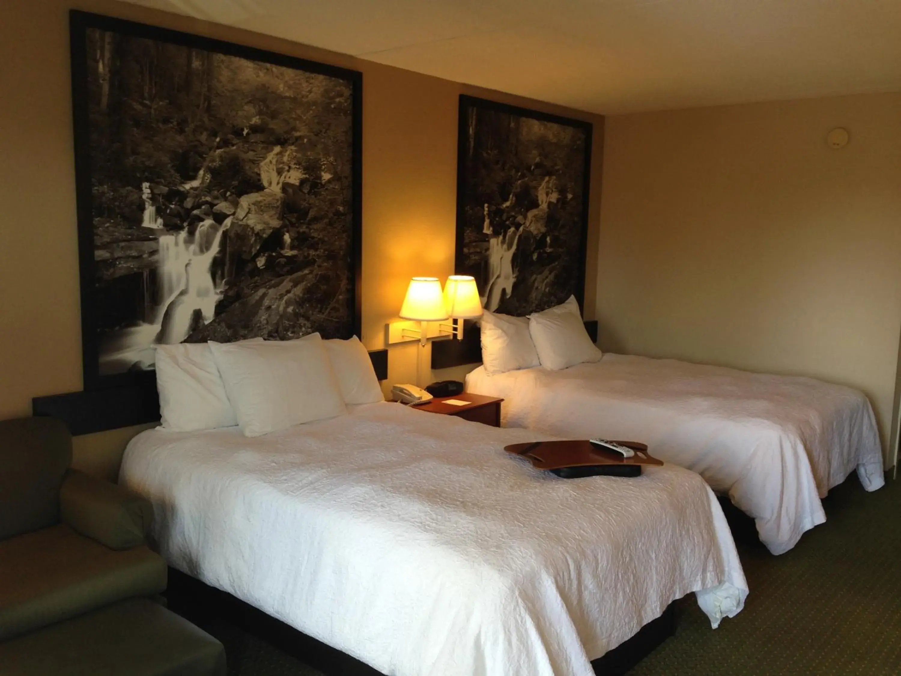 Bed in Super 8 by Wyndham Calhoun Bed in Super 8 by Wyndham Calhoun