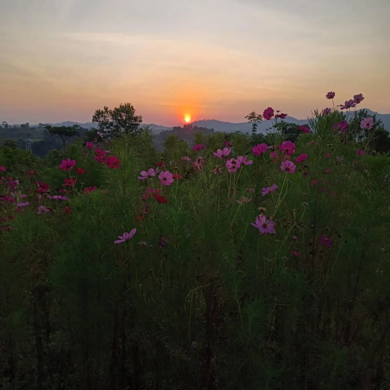 View (from property/room) in Phuyafahsai The Resort Khao Kho