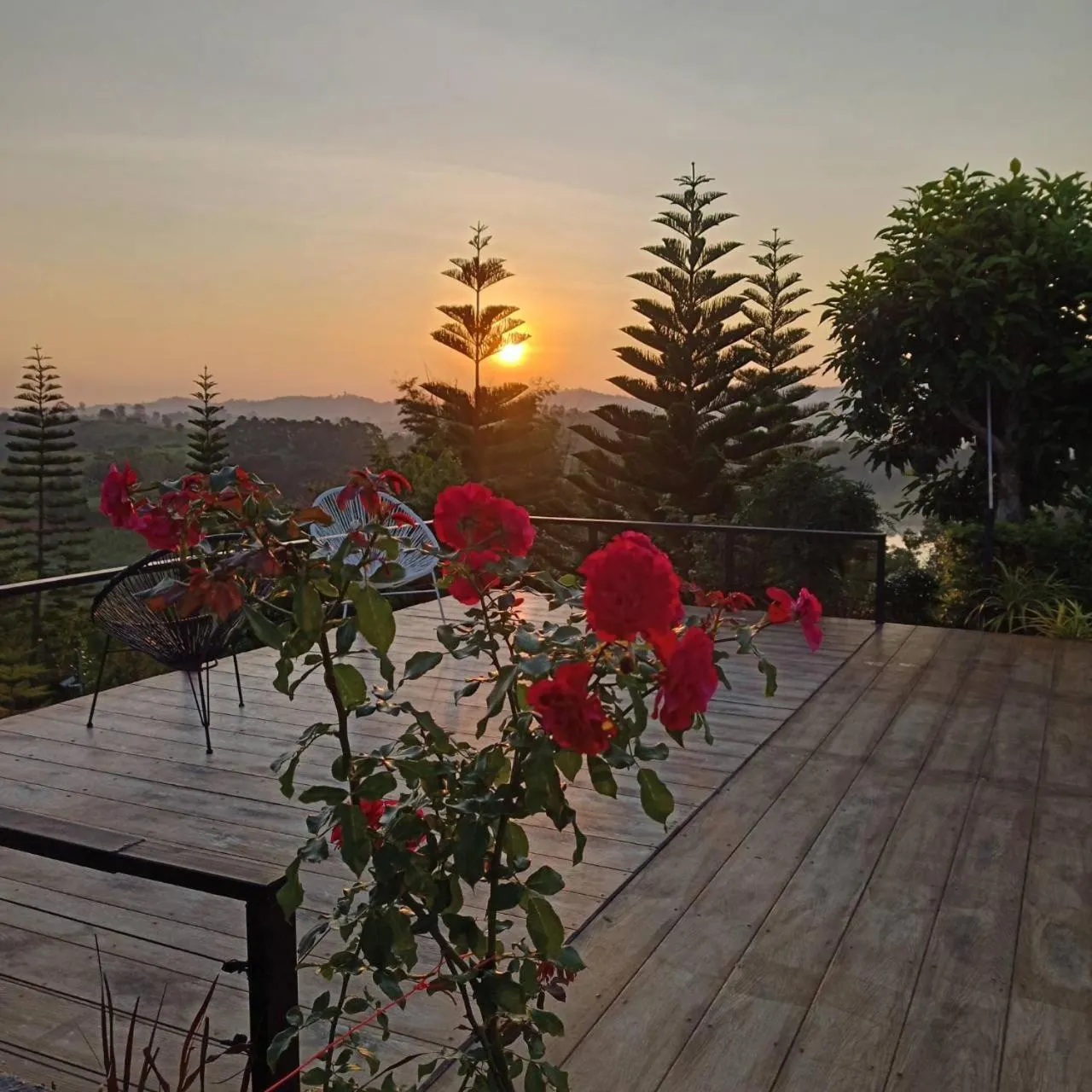 View (from property/room) in Phuyafahsai The Resort Khao Kho