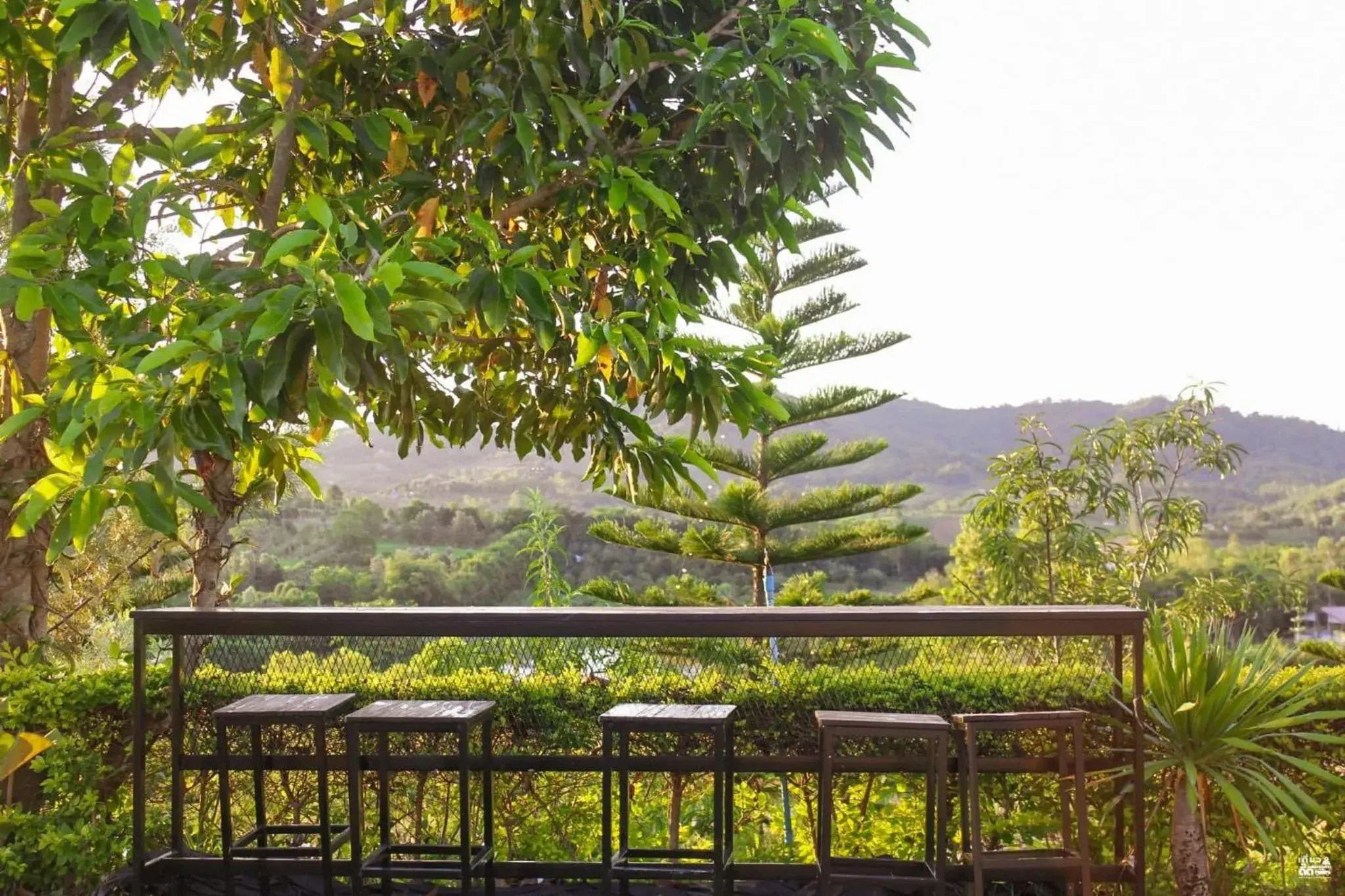 Garden view in Phuyafahsai The Resort Khao Kho Garden view in Phuyafahsai The Resort Khao Kho