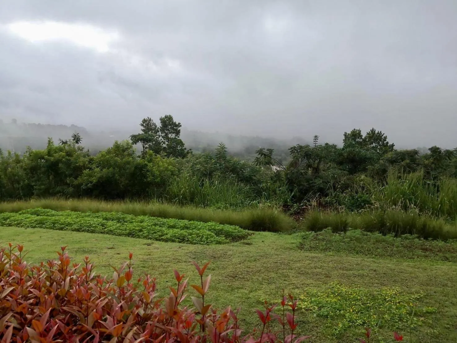 View (from property/room) in Phuyafahsai The Resort Khao Kho