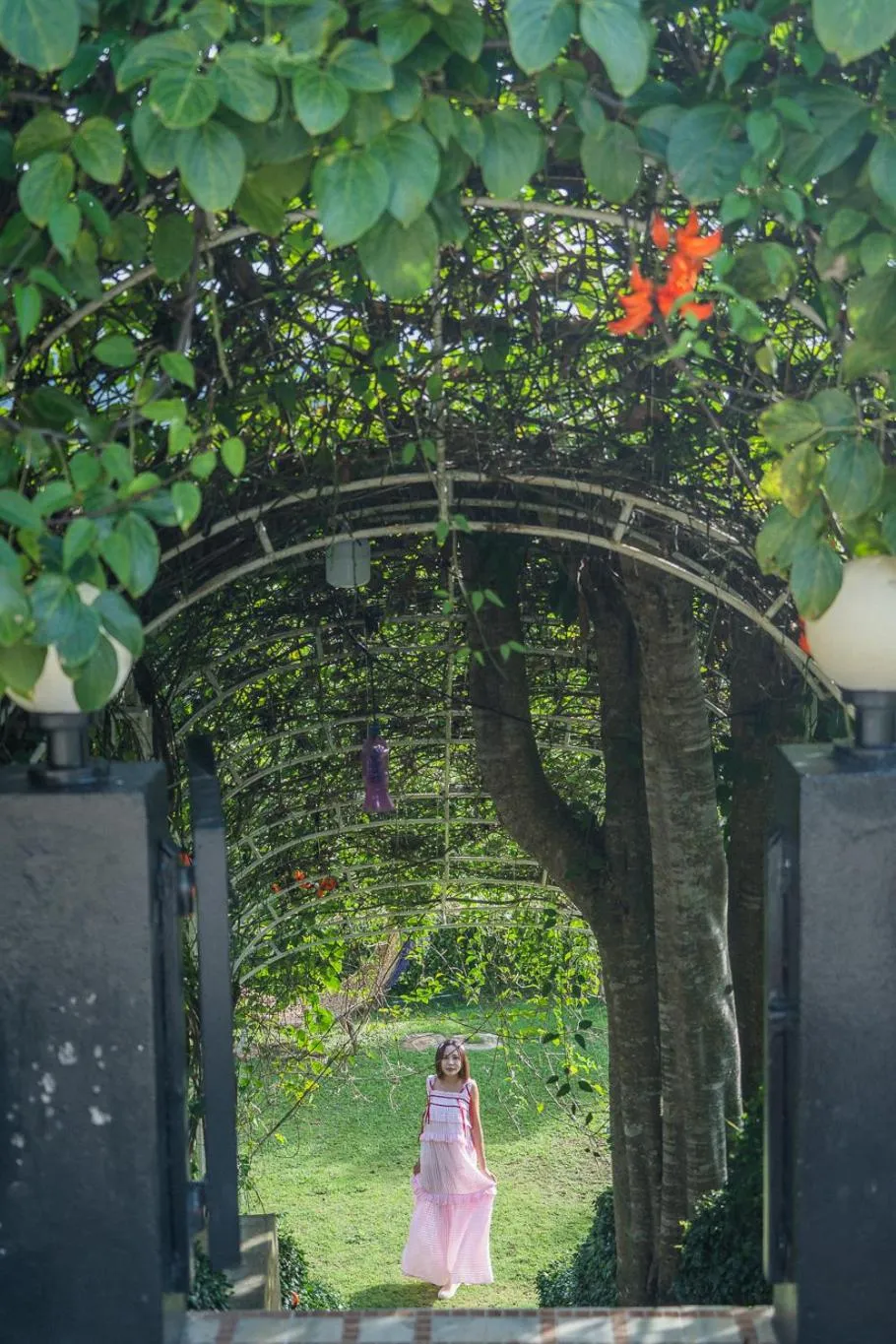 Natural landscape in Phuyafahsai The Resort Khao Kho