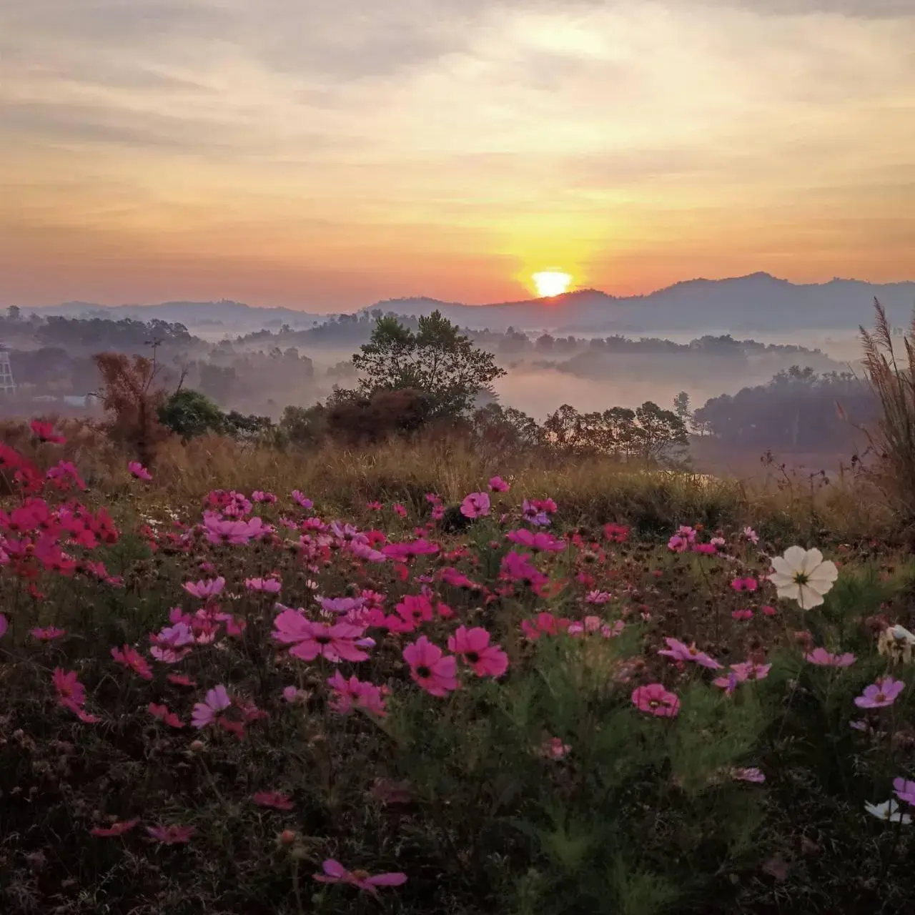 View (from property/room) in Phuyafahsai The Resort Khao Kho View (from property/room) in Phuyafahsai The Resort Khao Kho