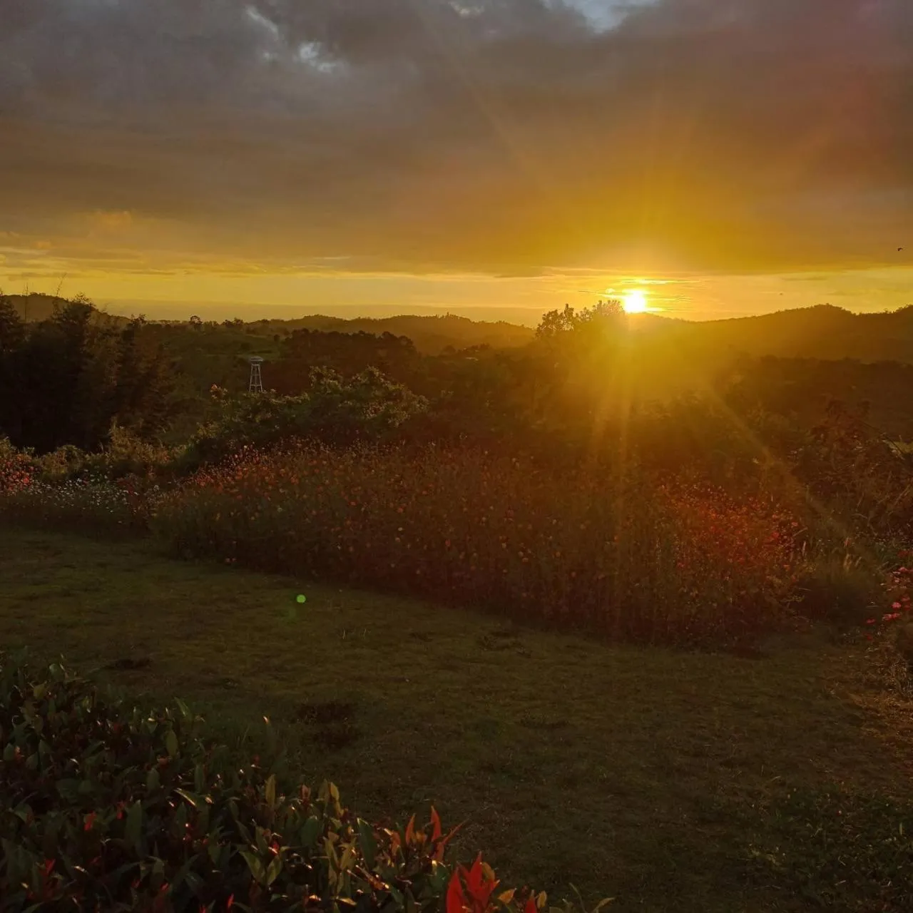 View (from property/room) in Phuyafahsai The Resort Khao Kho
