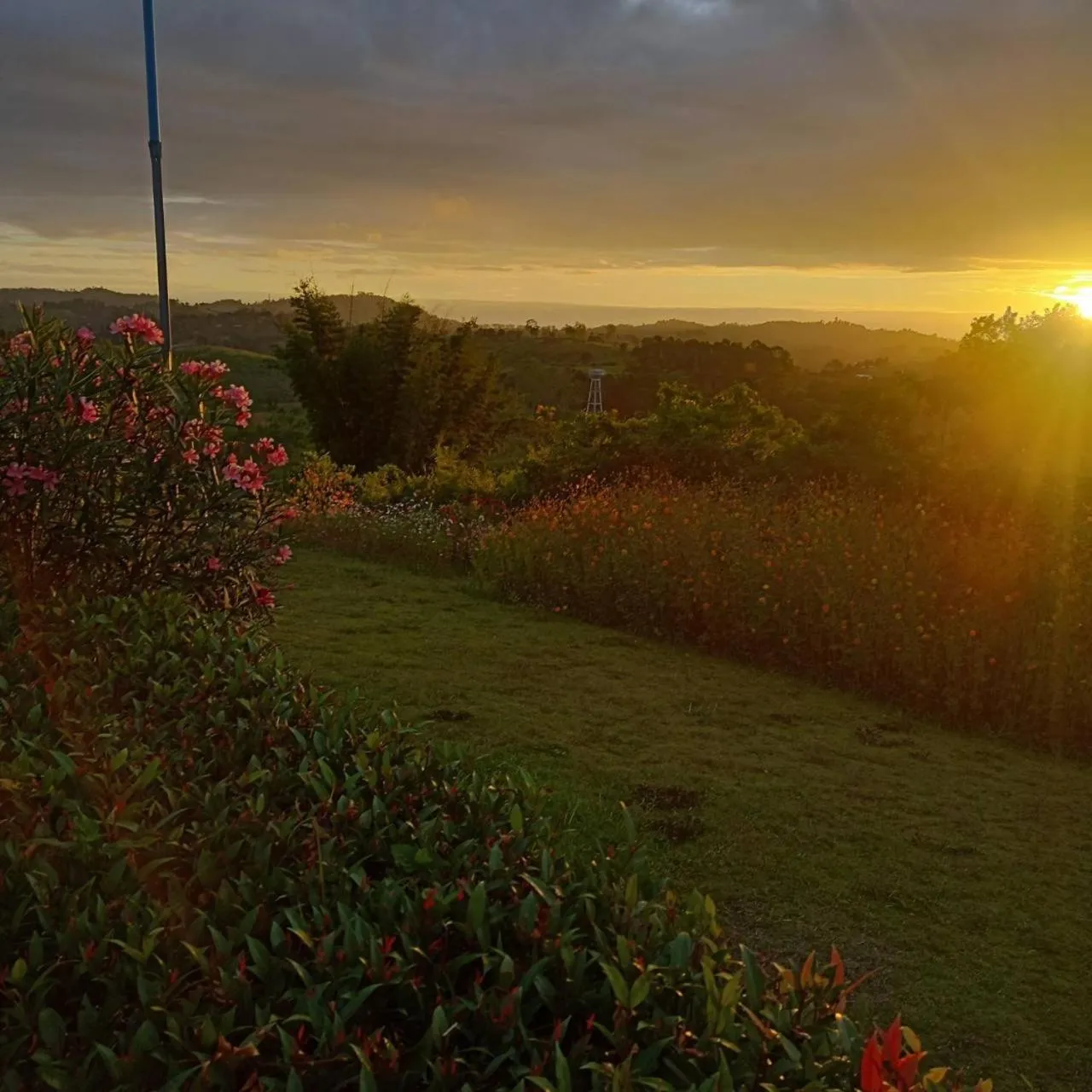 View (from property/room) in Phuyafahsai The Resort Khao Kho