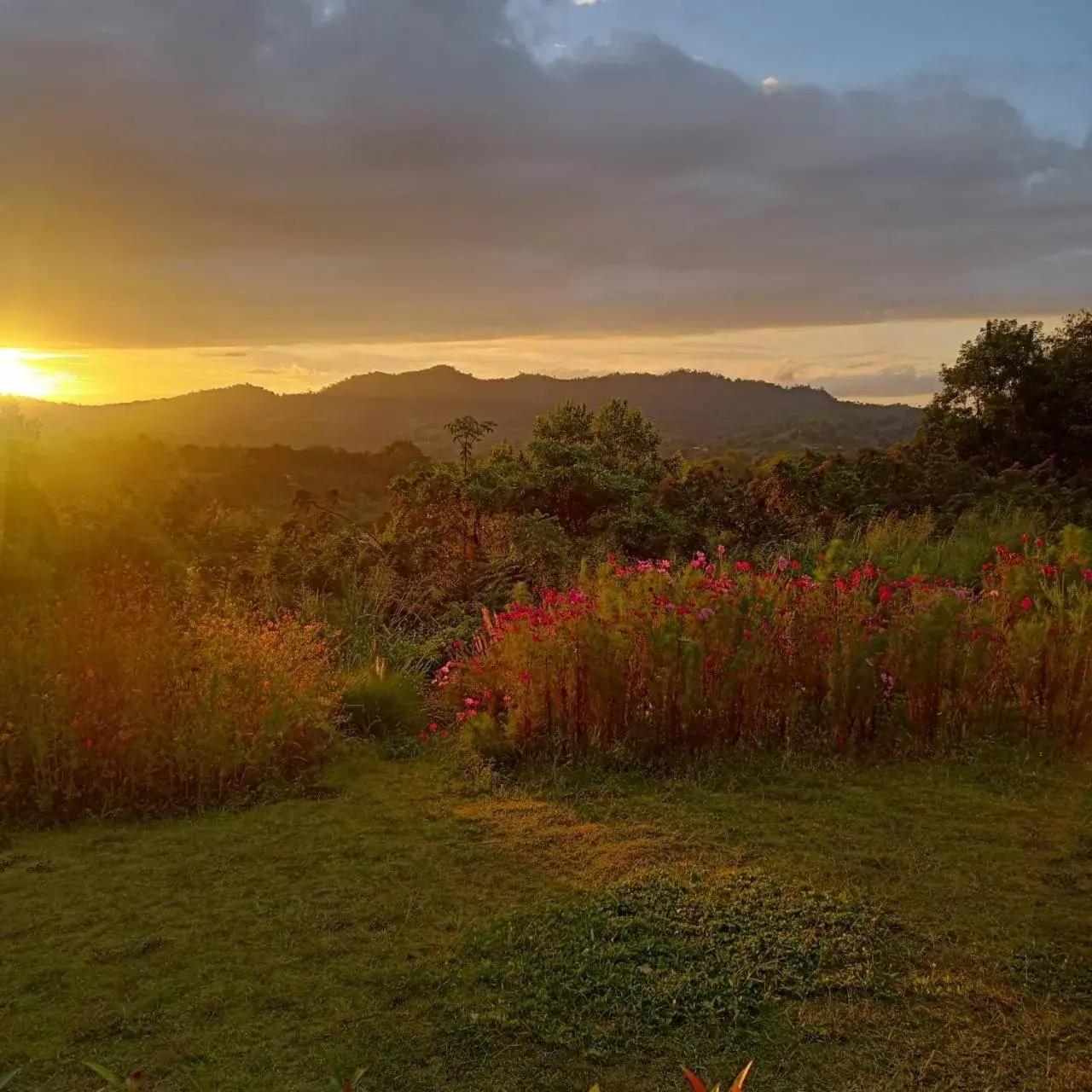 View (from property/room) in Phuyafahsai The Resort Khao Kho View (from property/room) in Phuyafahsai The Resort Khao Kho