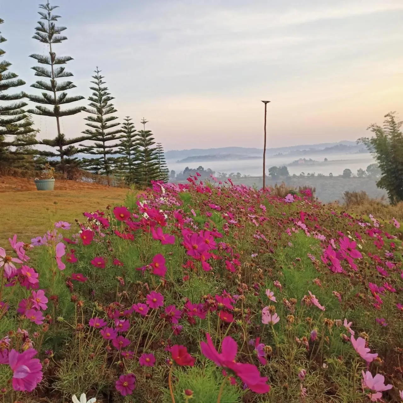 Communal lounge/ TV room in Phuyafahsai The Resort Khao Kho