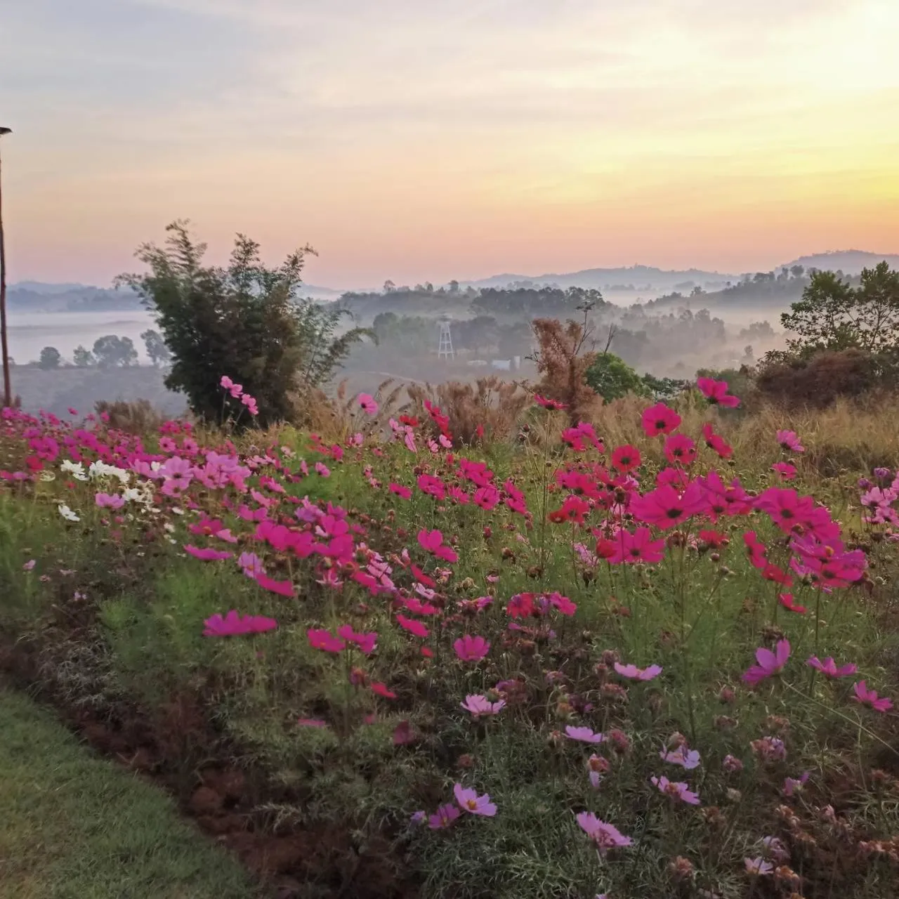 View (from property/room) in Phuyafahsai The Resort Khao Kho