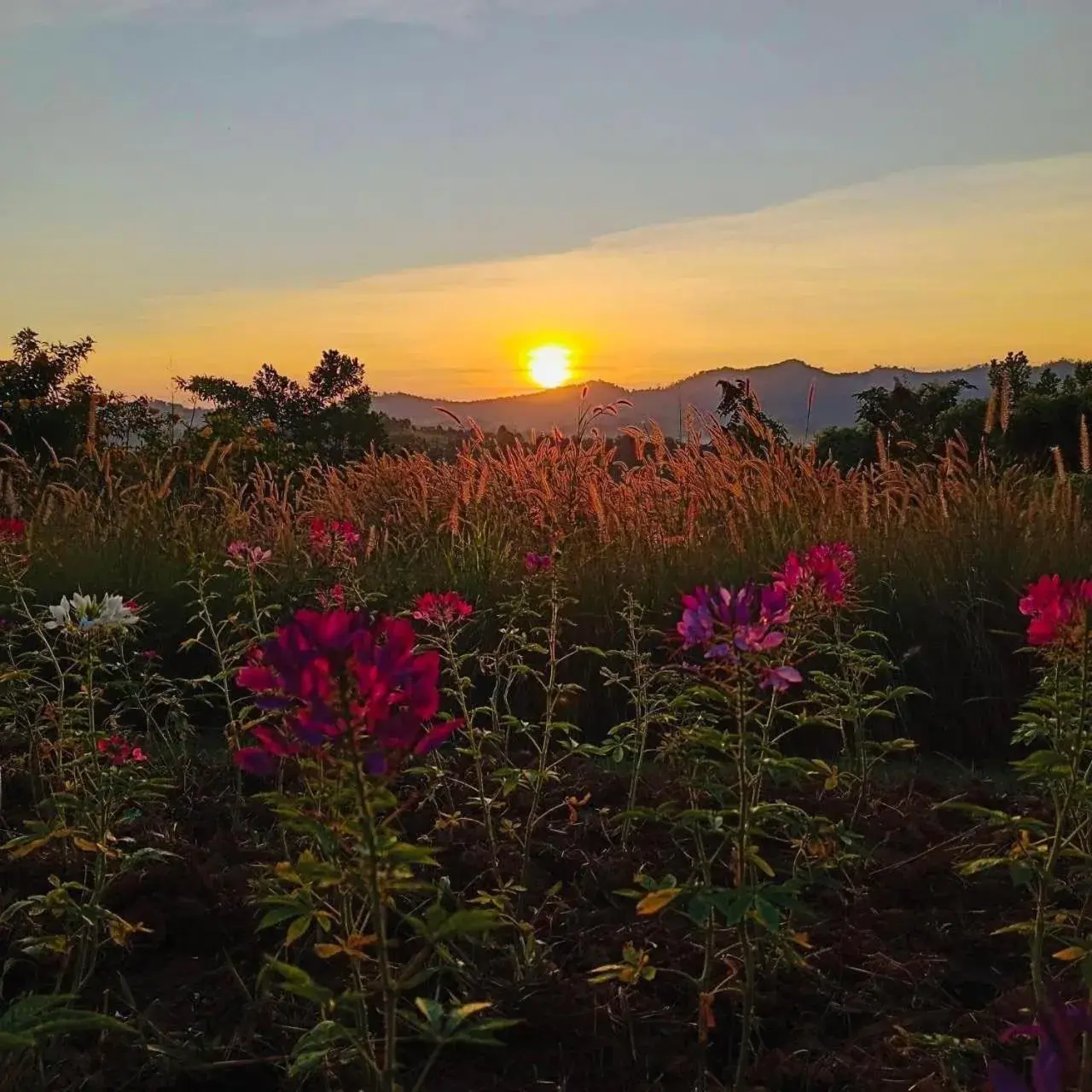 View (from property/room) in Phuyafahsai The Resort Khao Kho View (from property/room) in Phuyafahsai The Resort Khao Kho