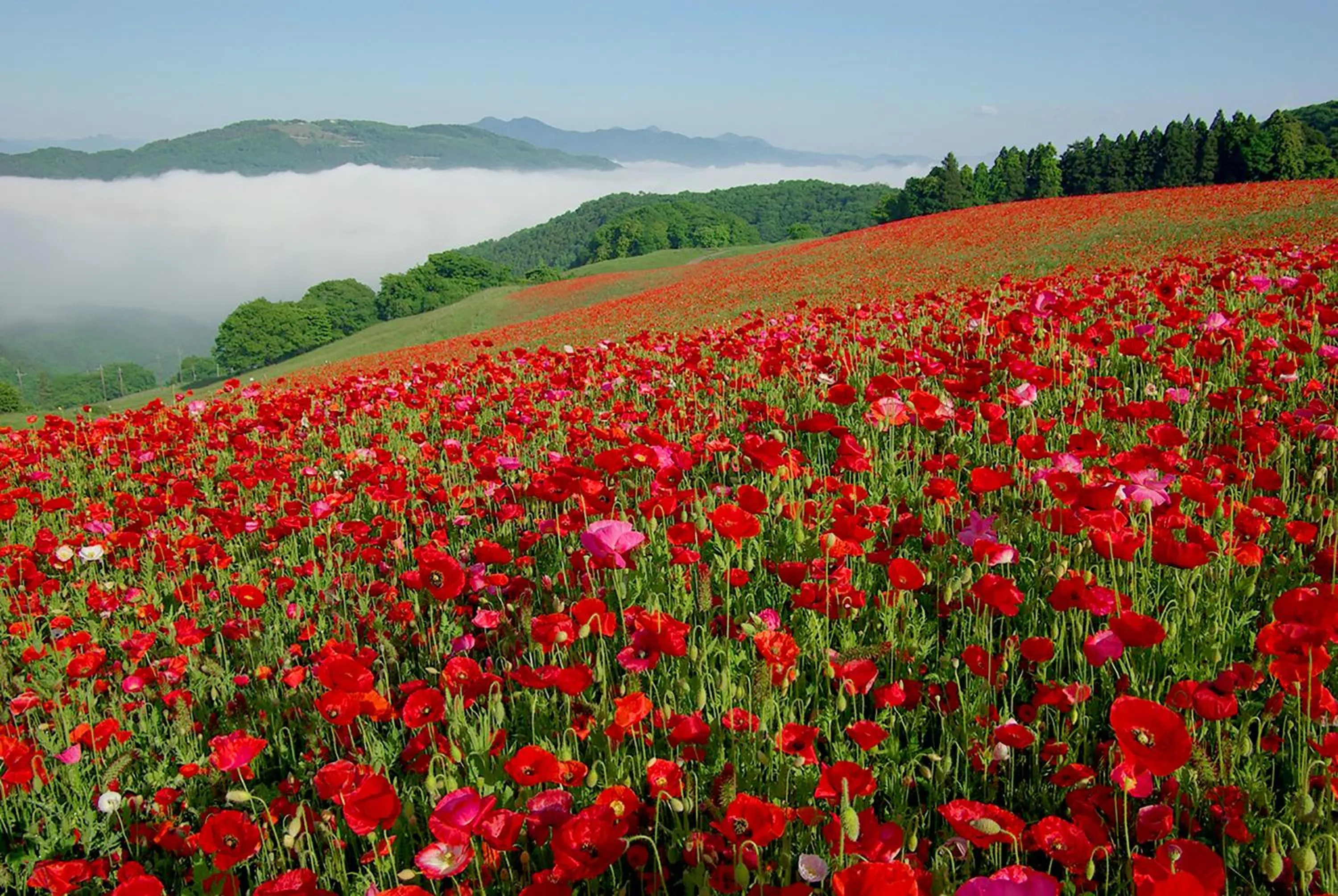 Nearby landmark in Ikoi no Mura Heritage Minoyama