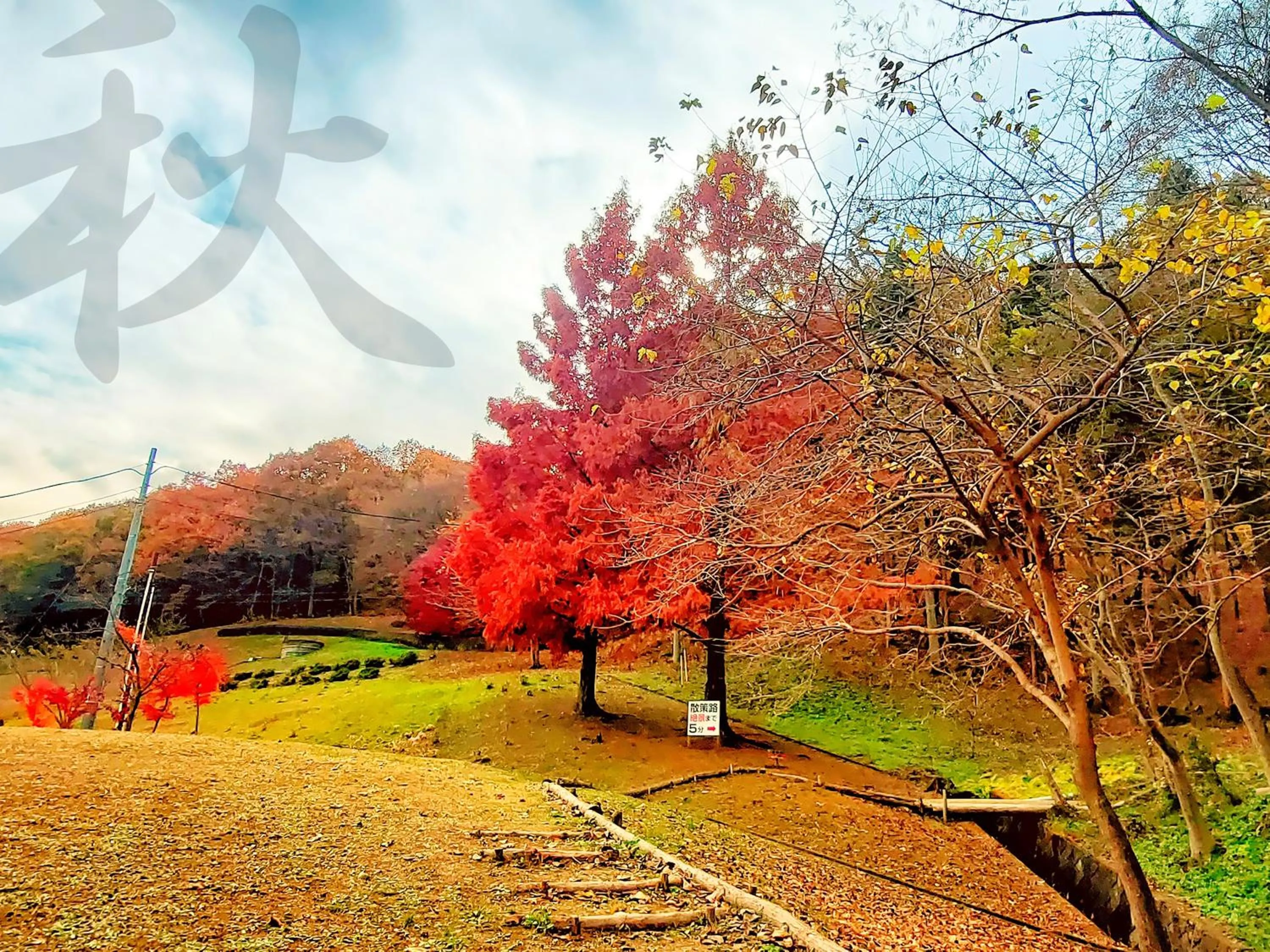 Natural landscape in Ikoi no Mura Heritage Minoyama