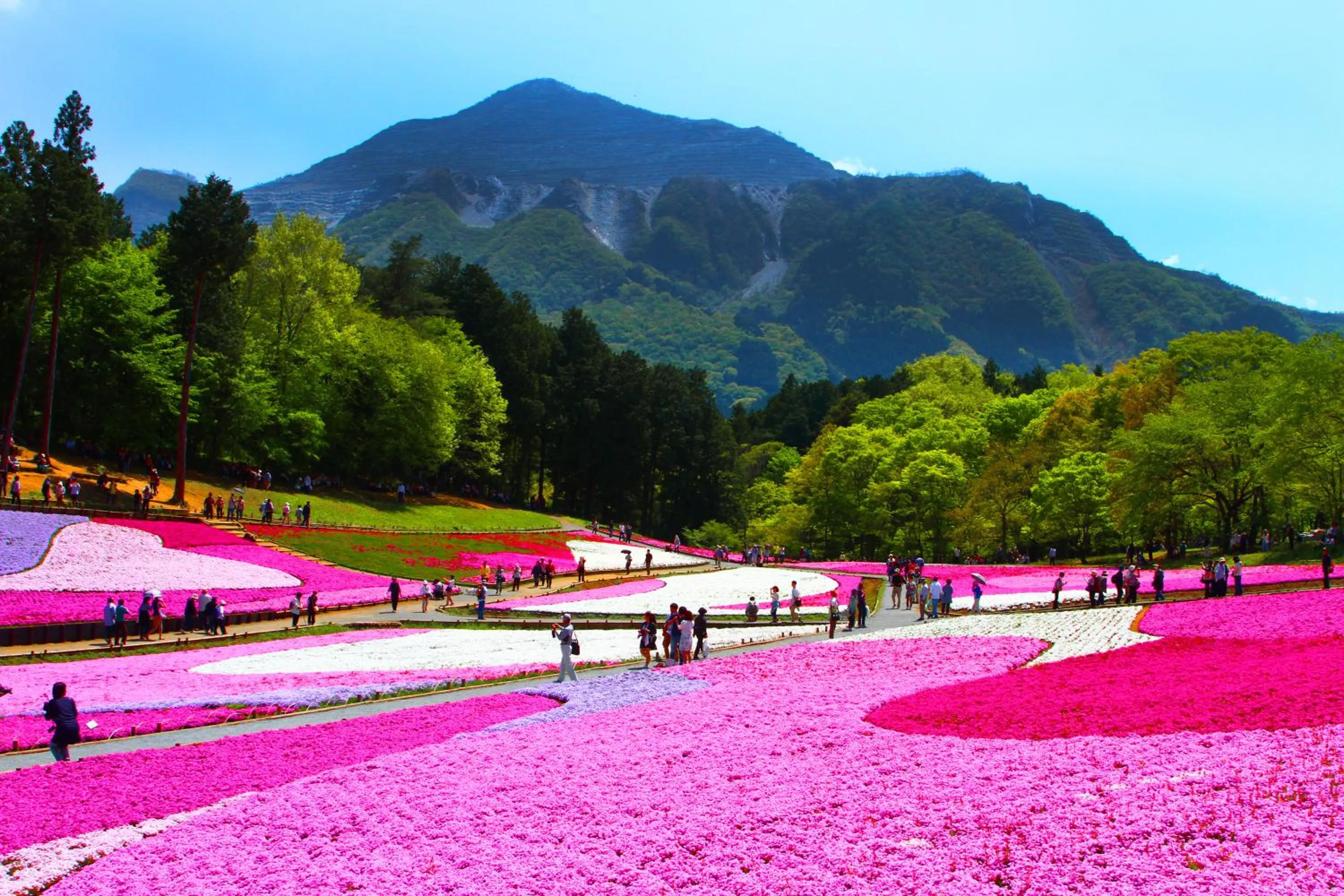 Ikoi no Mura Heritage Minoyama