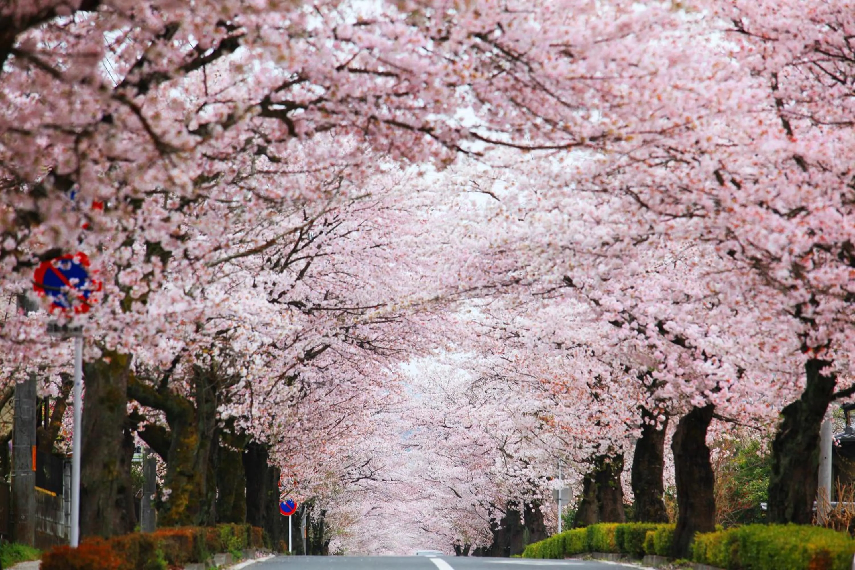 Ikoi no Mura Heritage Minoyama