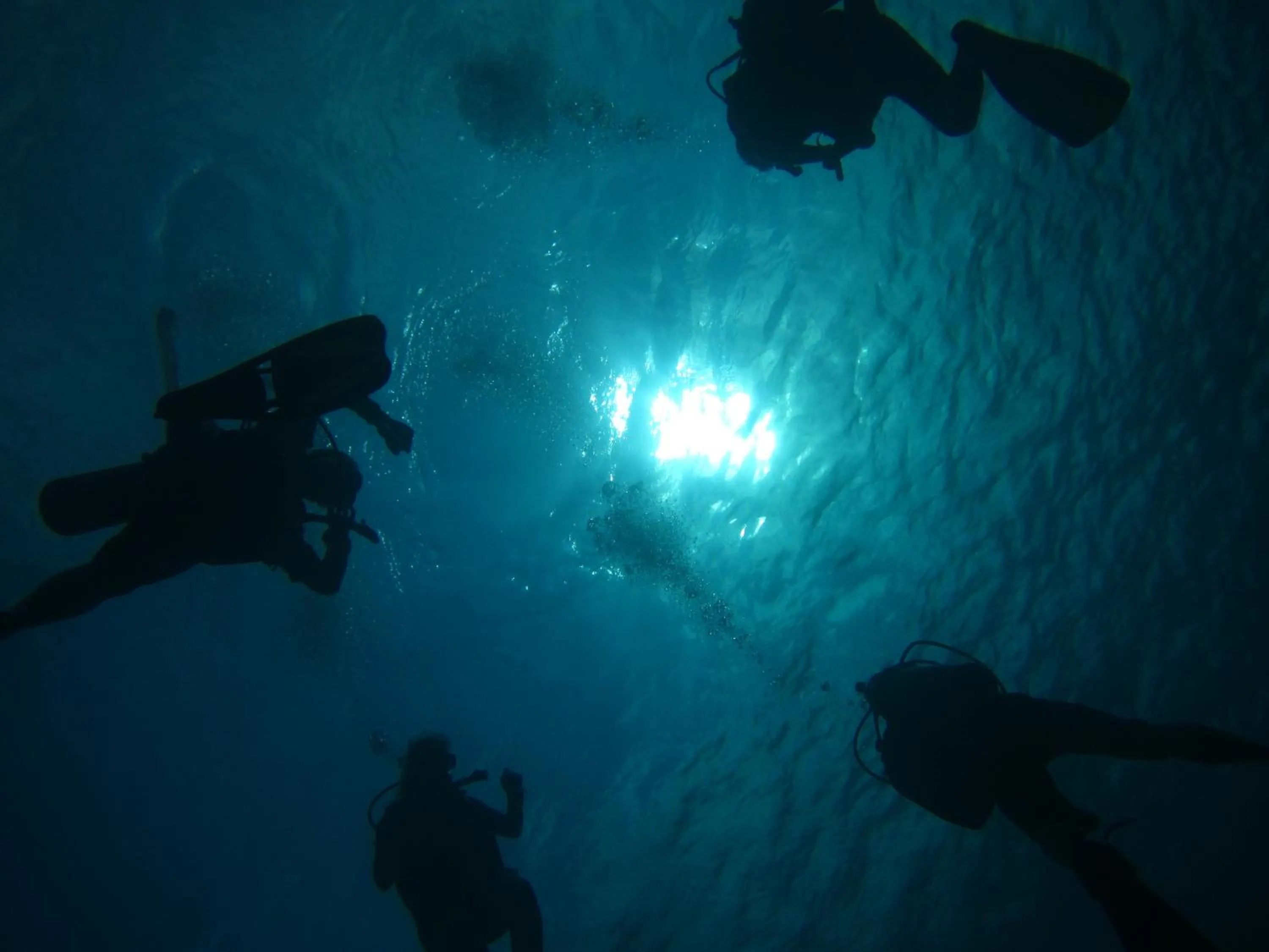 Diving in Rinjani Beach Eco Resort
