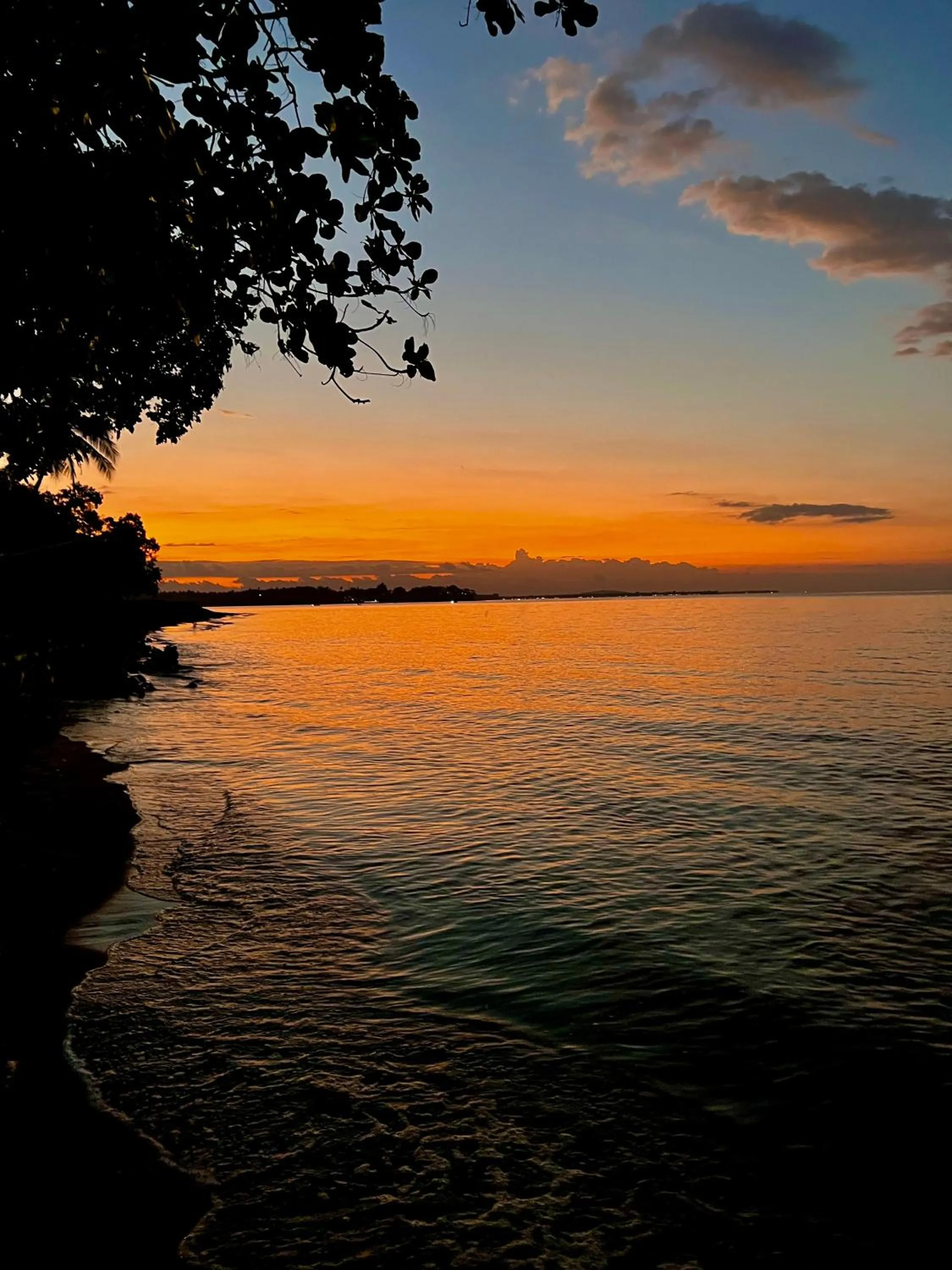 View (from property/room) in Rinjani Beach Eco Resort
