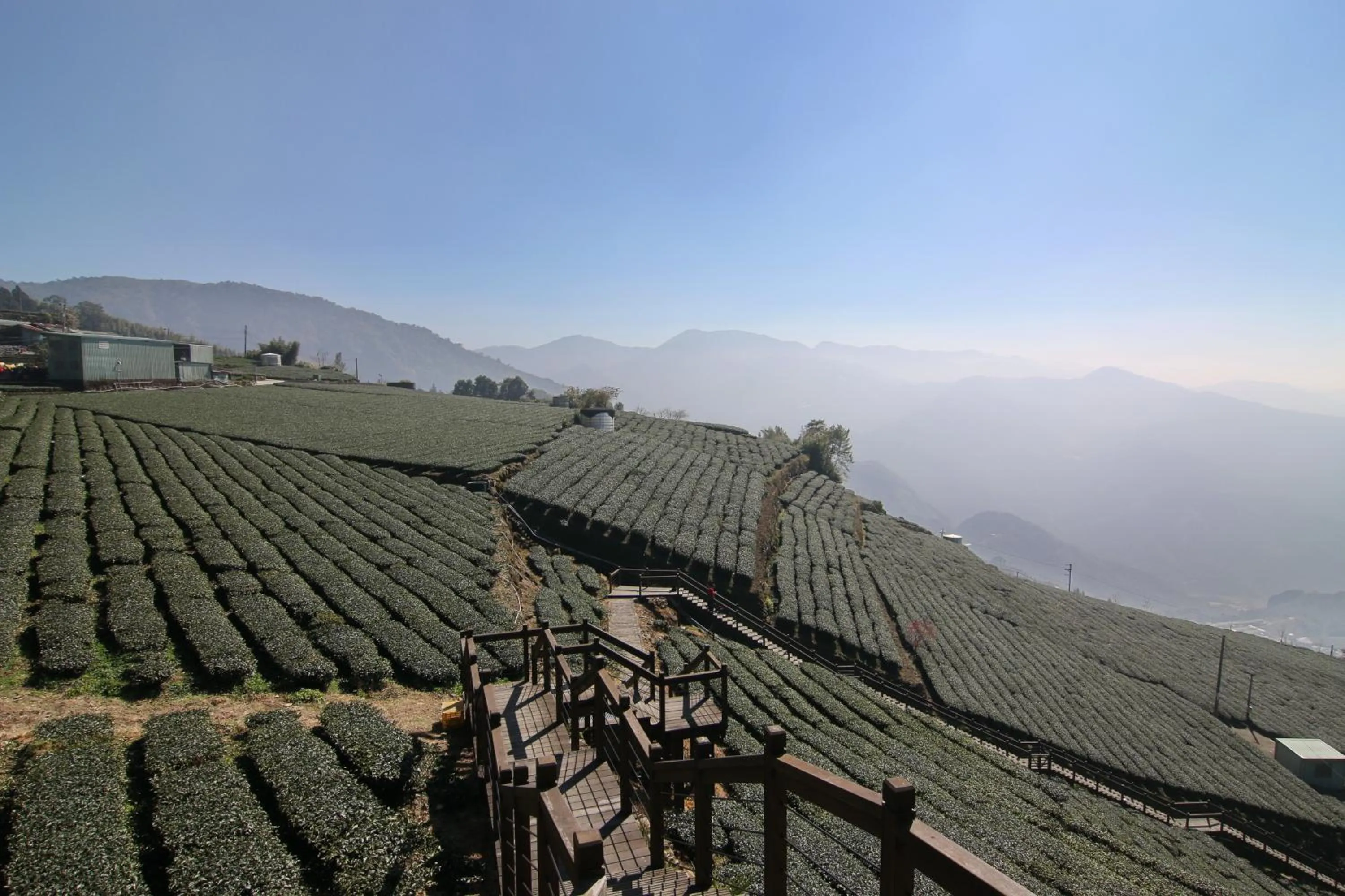 Alishan B&B YunMinGi