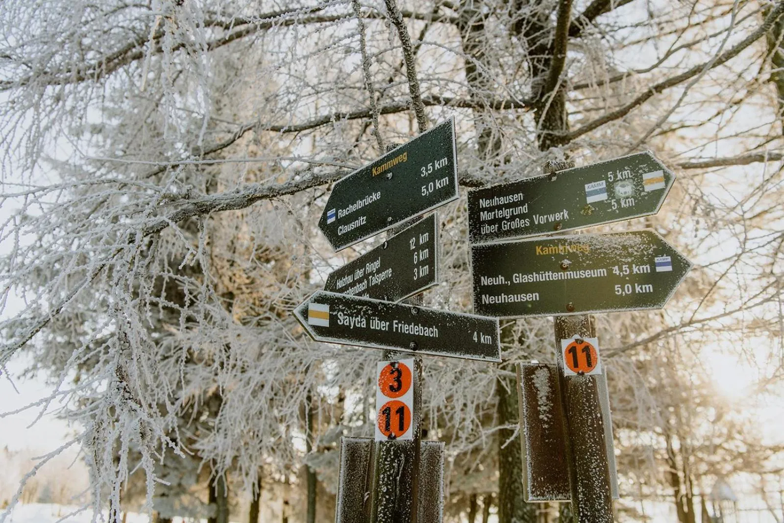 Activities in Waldhotel Kreuztanne