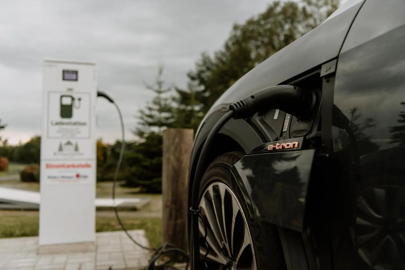 Area and facilities in Waldhotel Kreuztanne