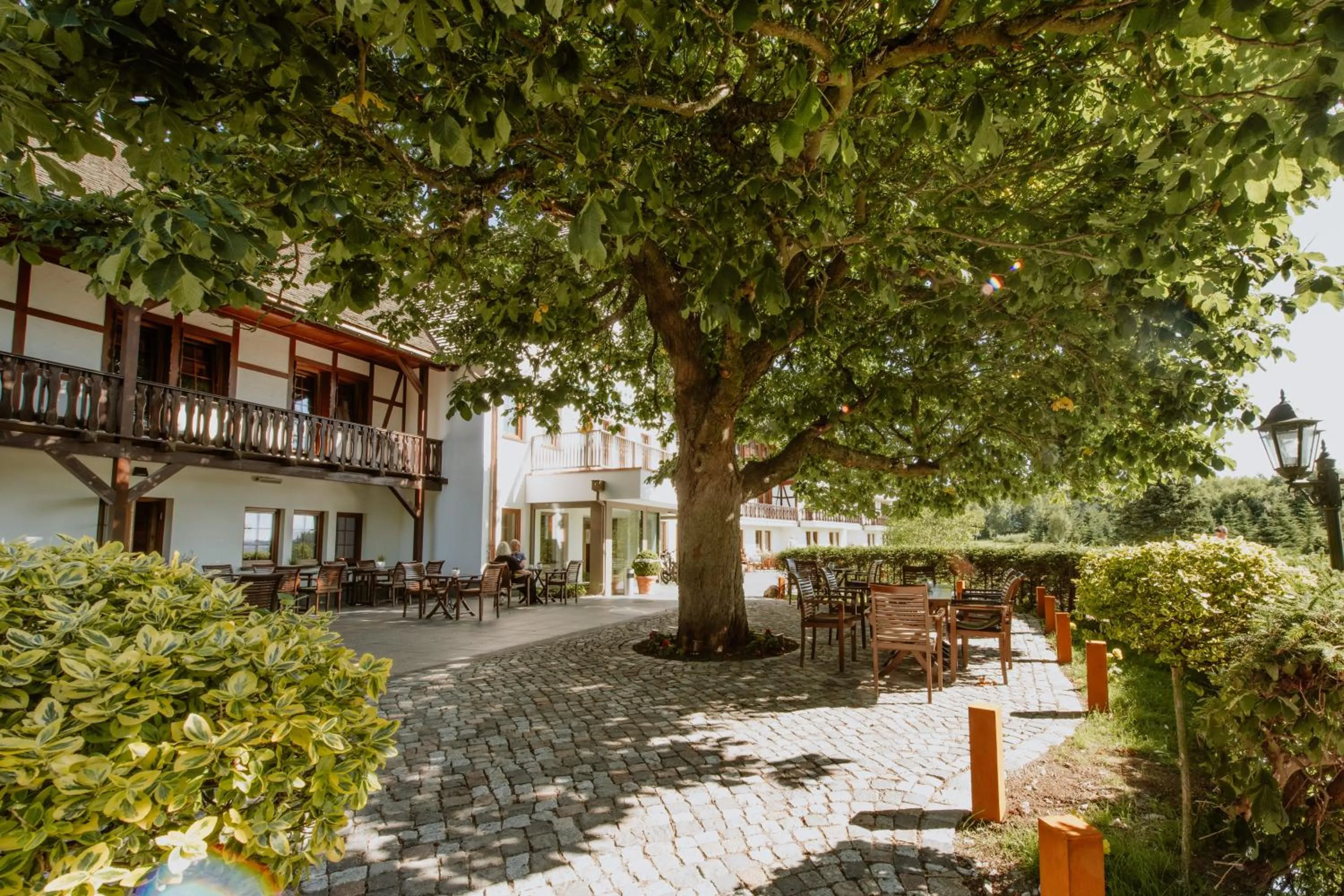 Balcony/Terrace in Waldhotel Kreuztanne