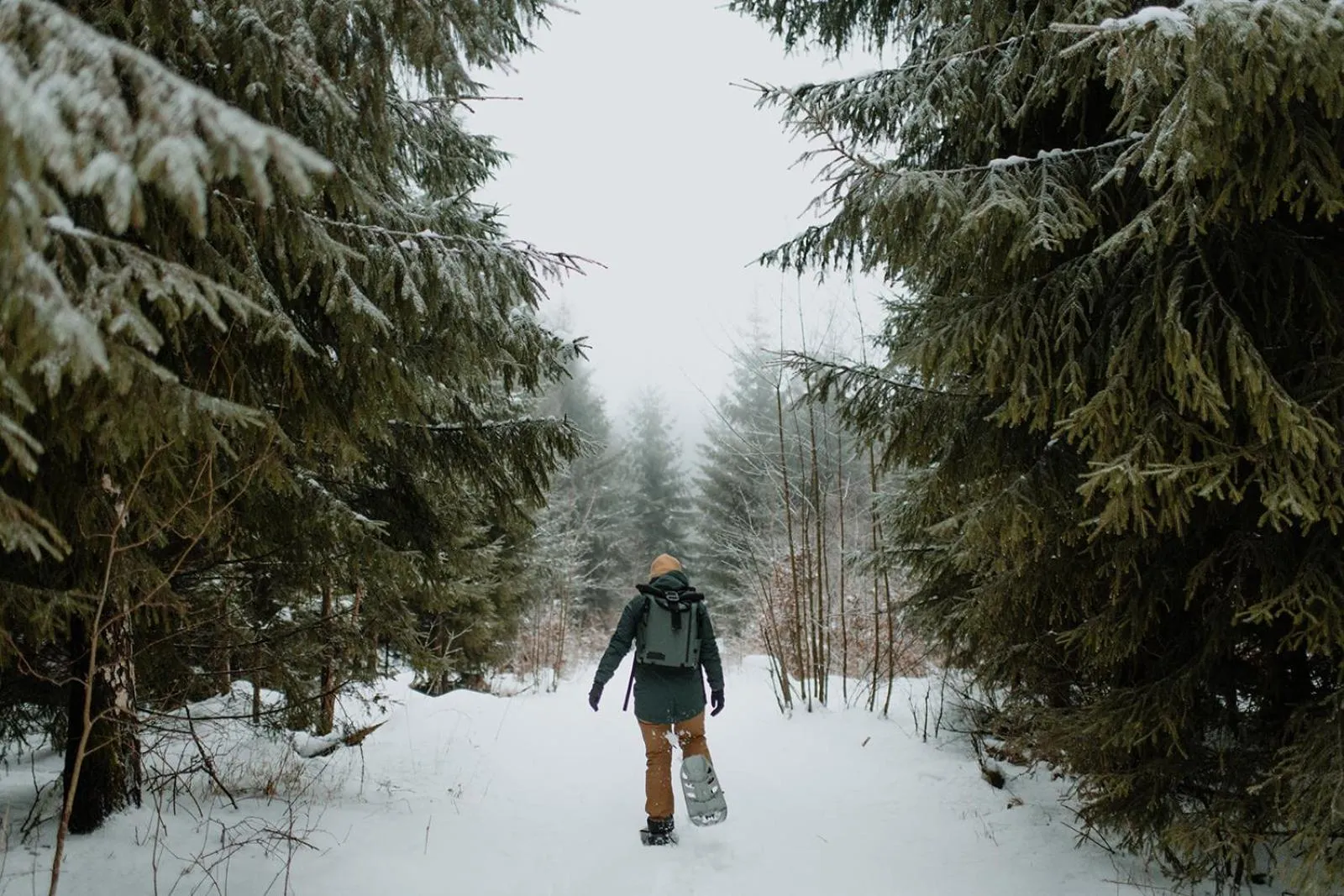 Activities in Waldhotel Kreuztanne