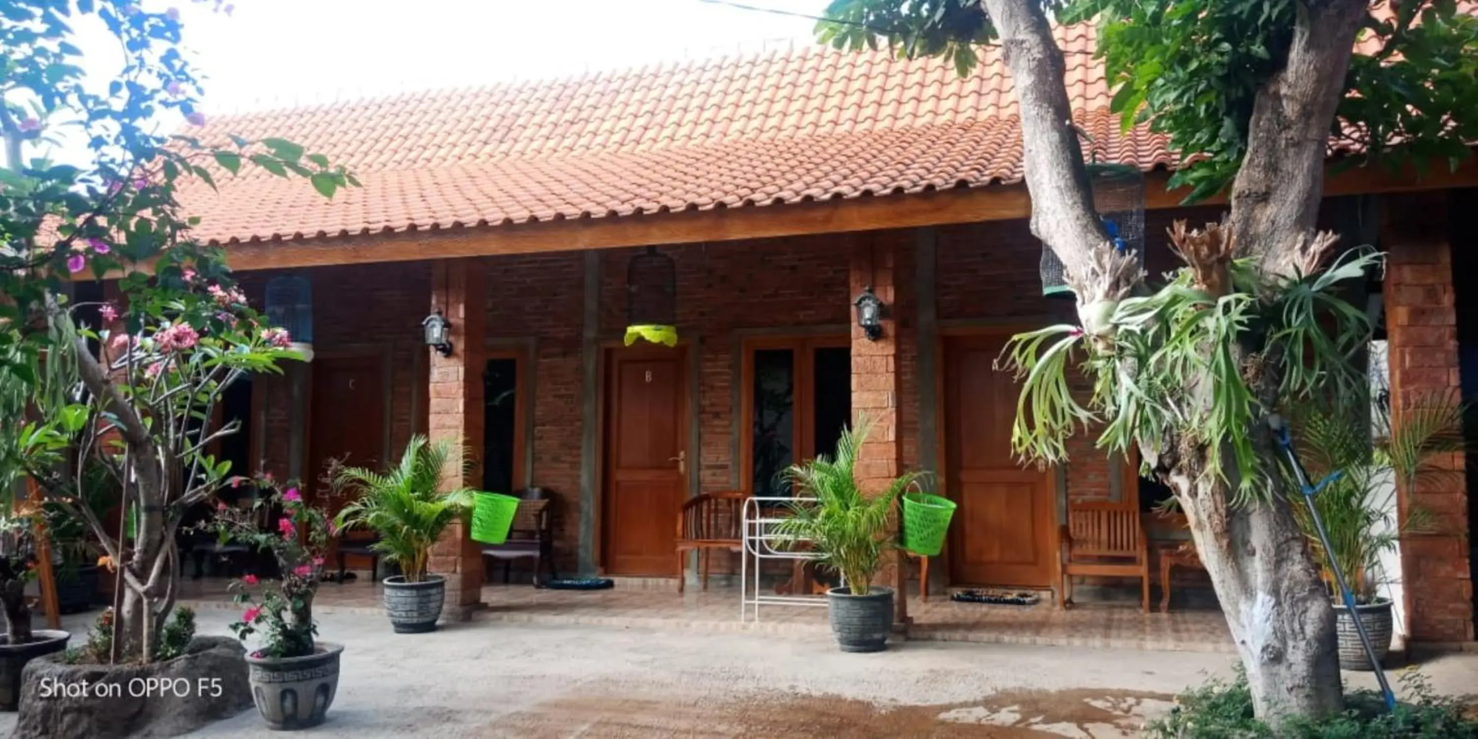 Nita's Homestay Banyuwangi Nita's Homestay Banyuwangi