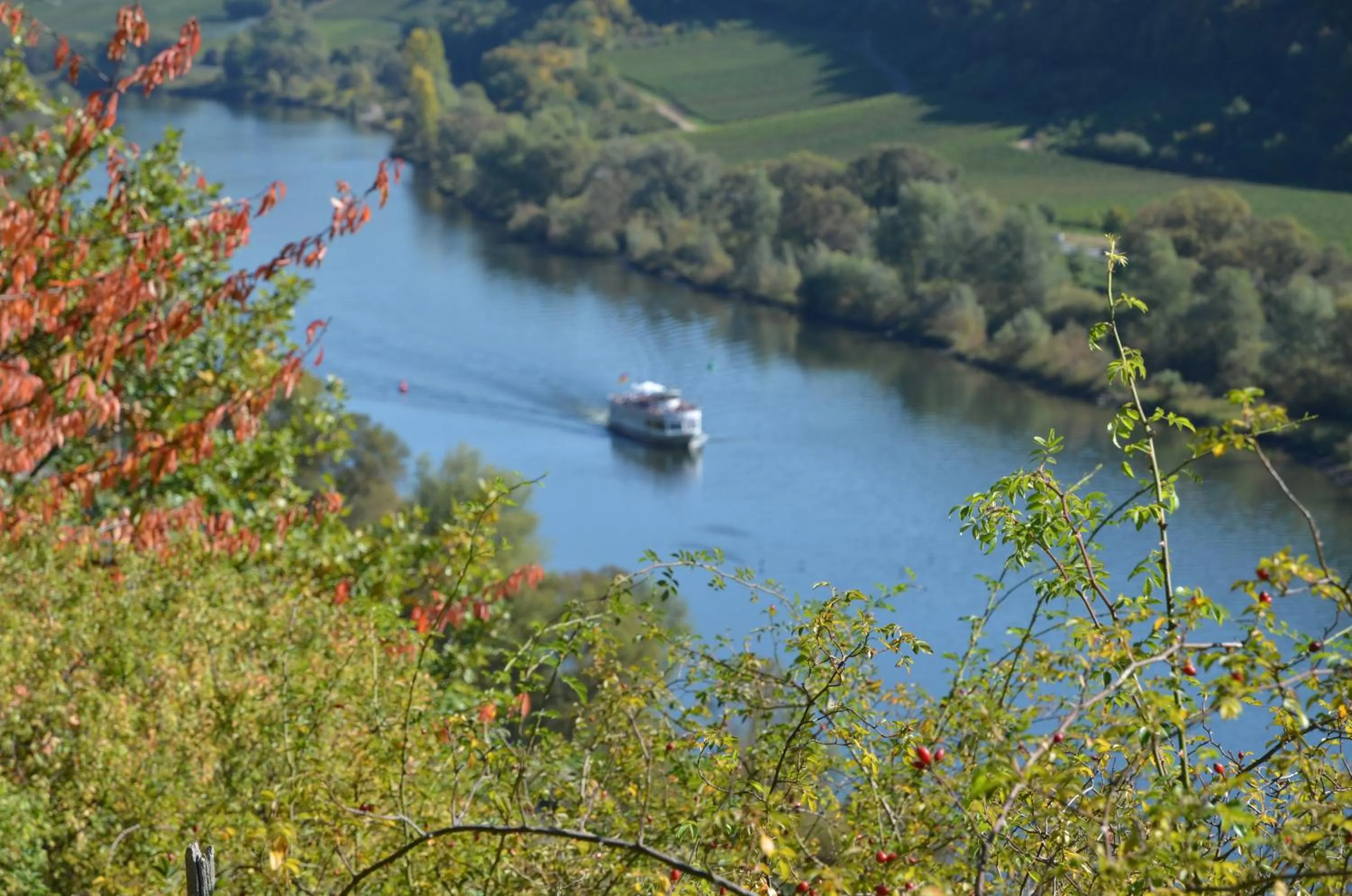 Natural landscape in Hotel-Fritz