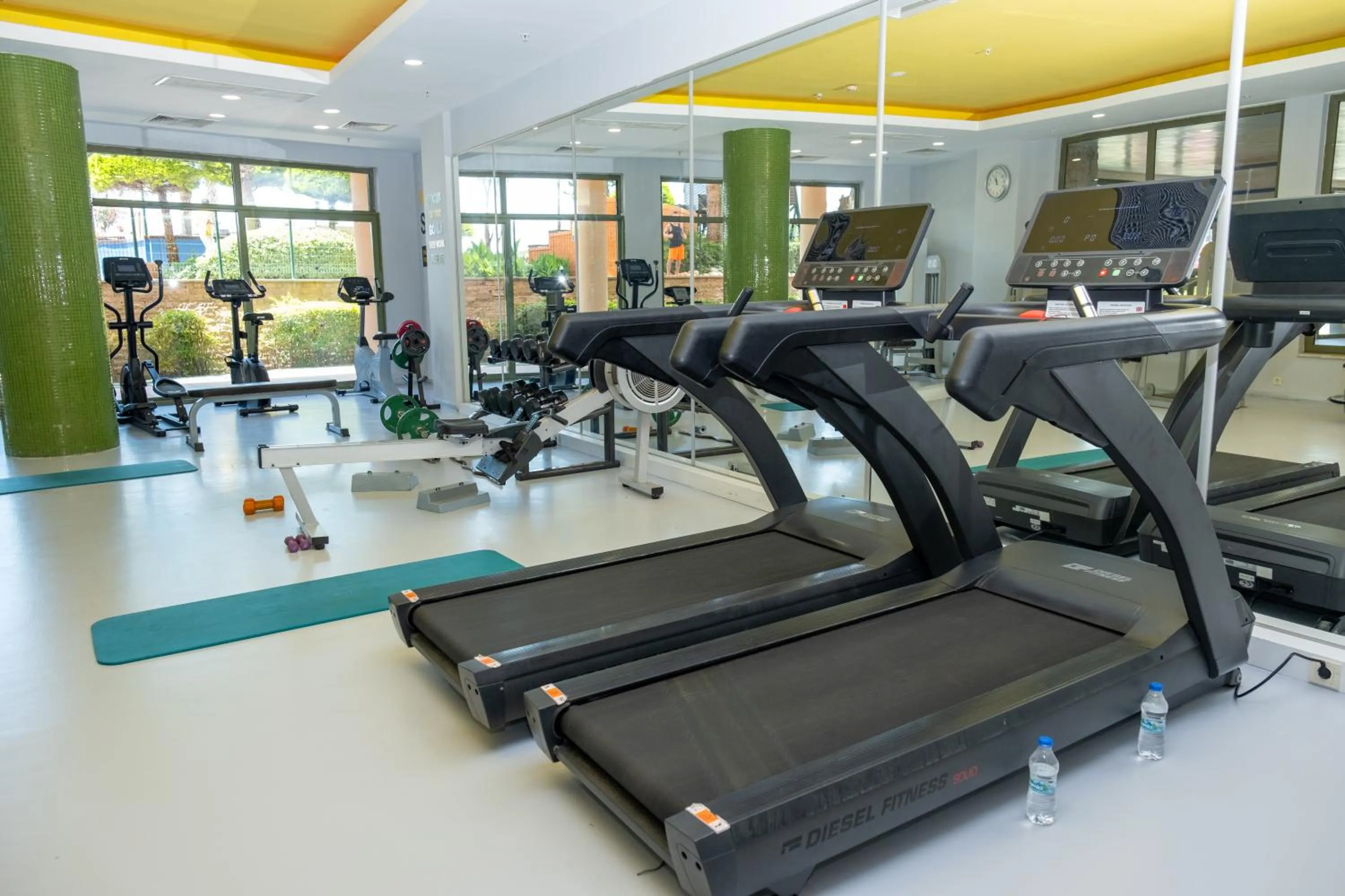 Sports in AQI Pegasos Royal