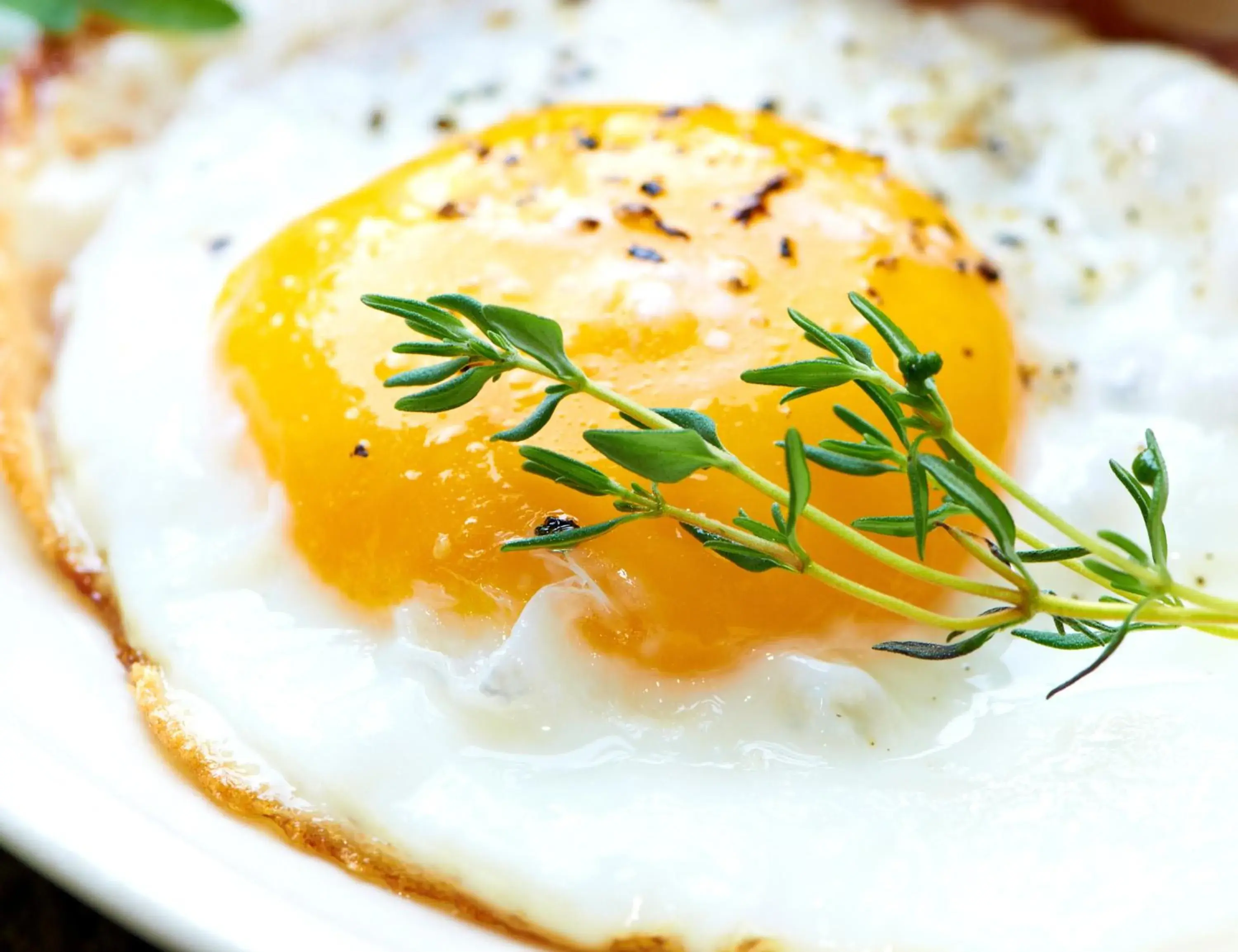 Breakfast in Hotel Münkel Breakfast in Hotel Münkel