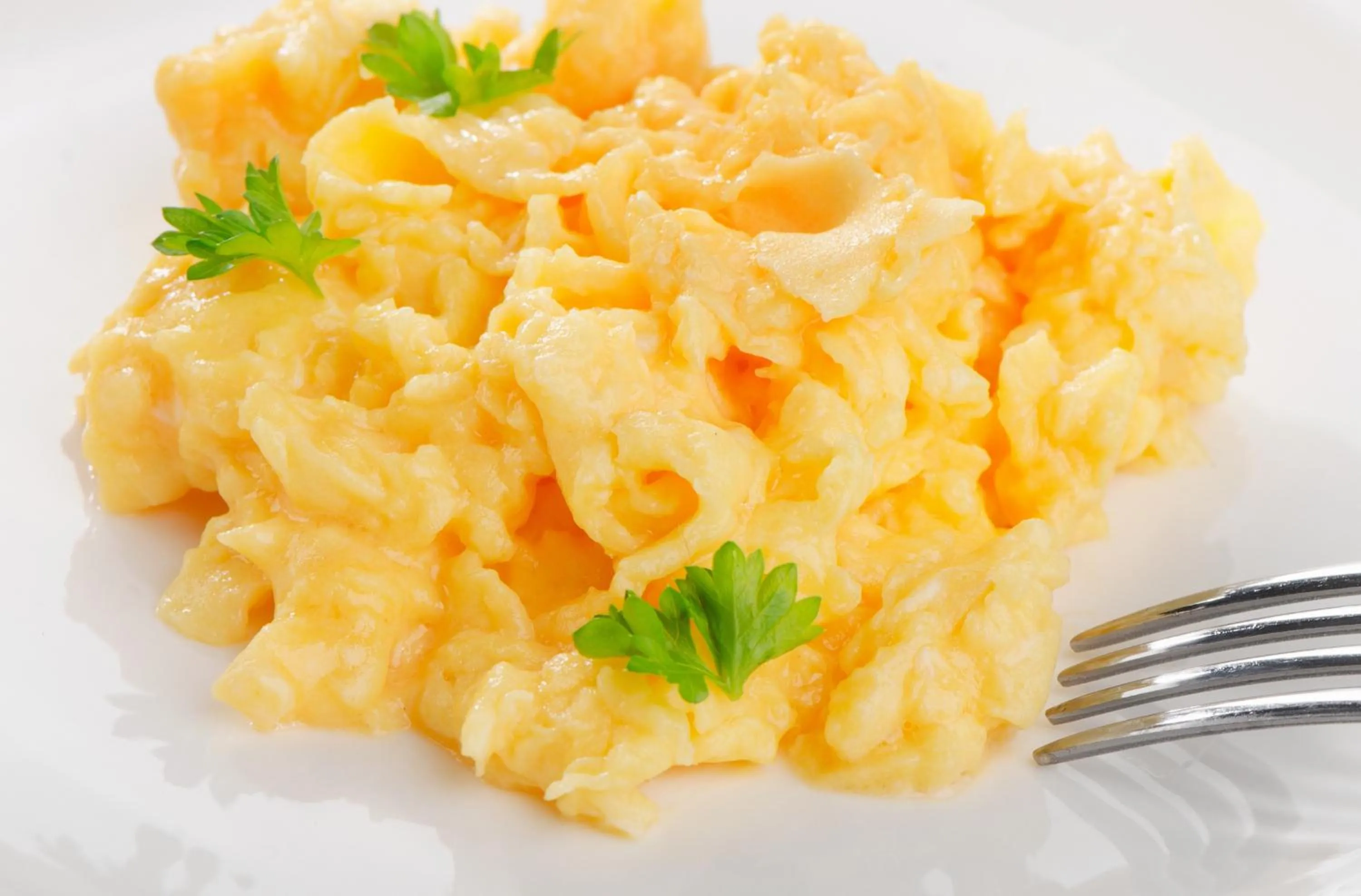 Breakfast in Hotel Münkel