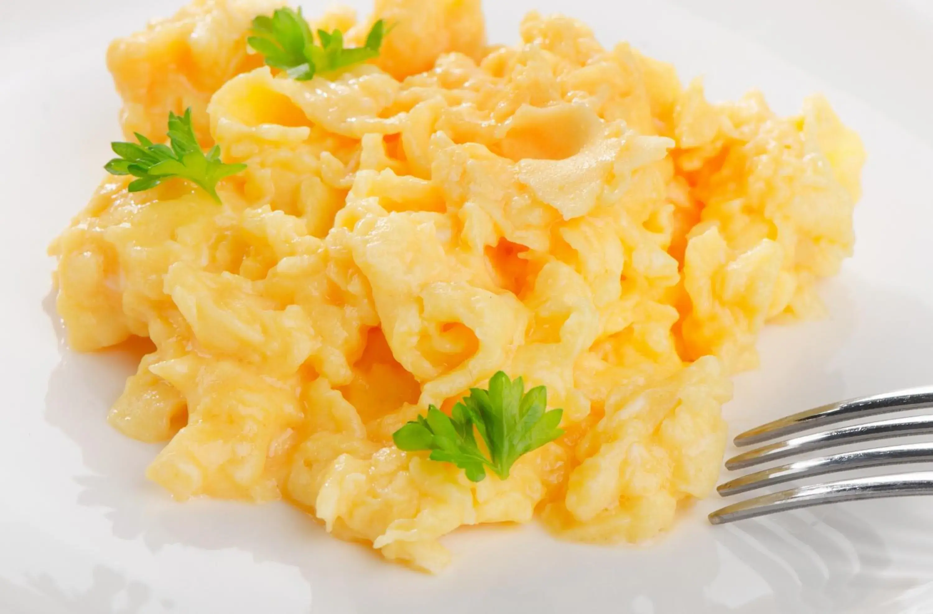 Breakfast in Hotel Münkel Breakfast in Hotel Münkel