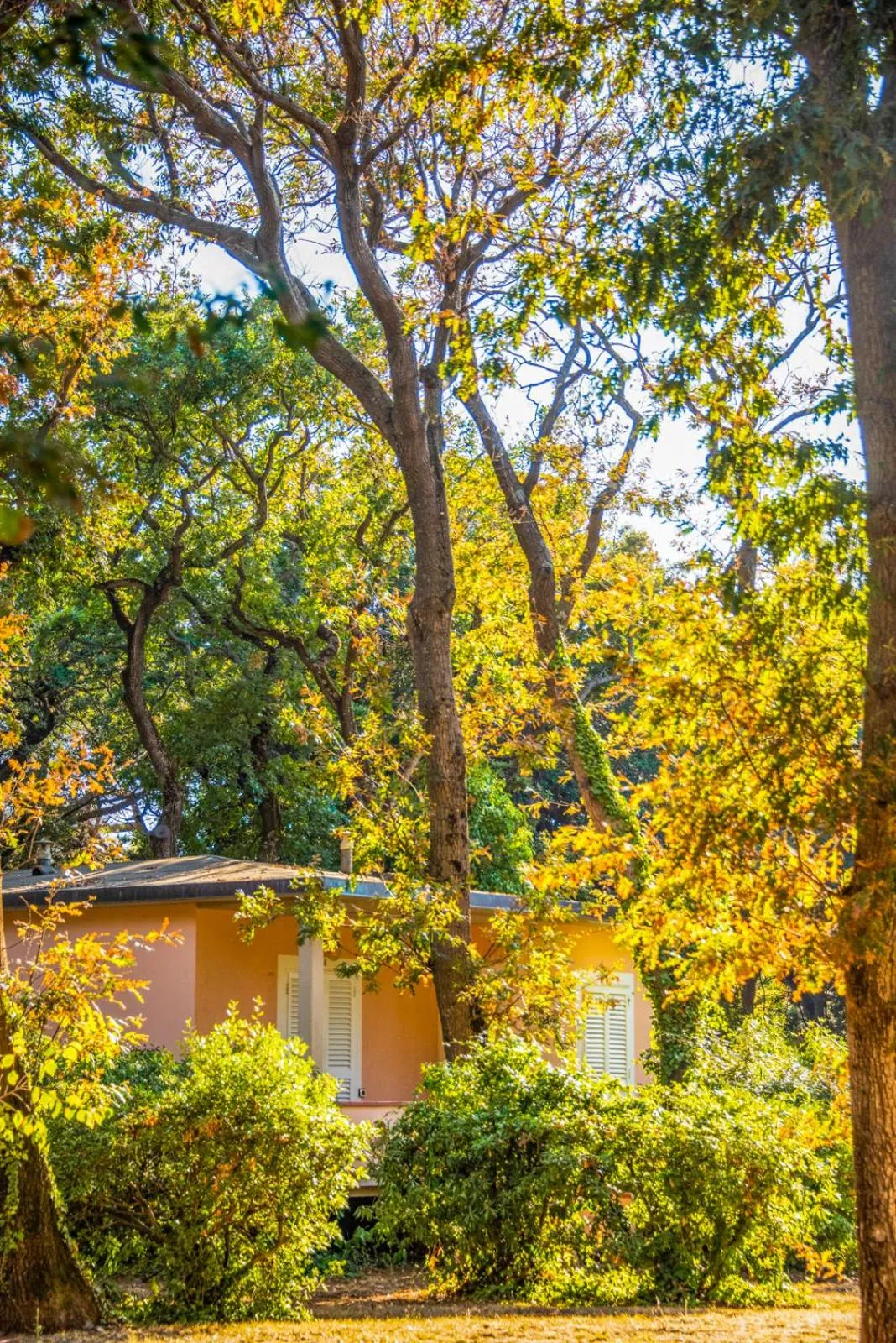 Property building in Hotel Riva degli Etruschi