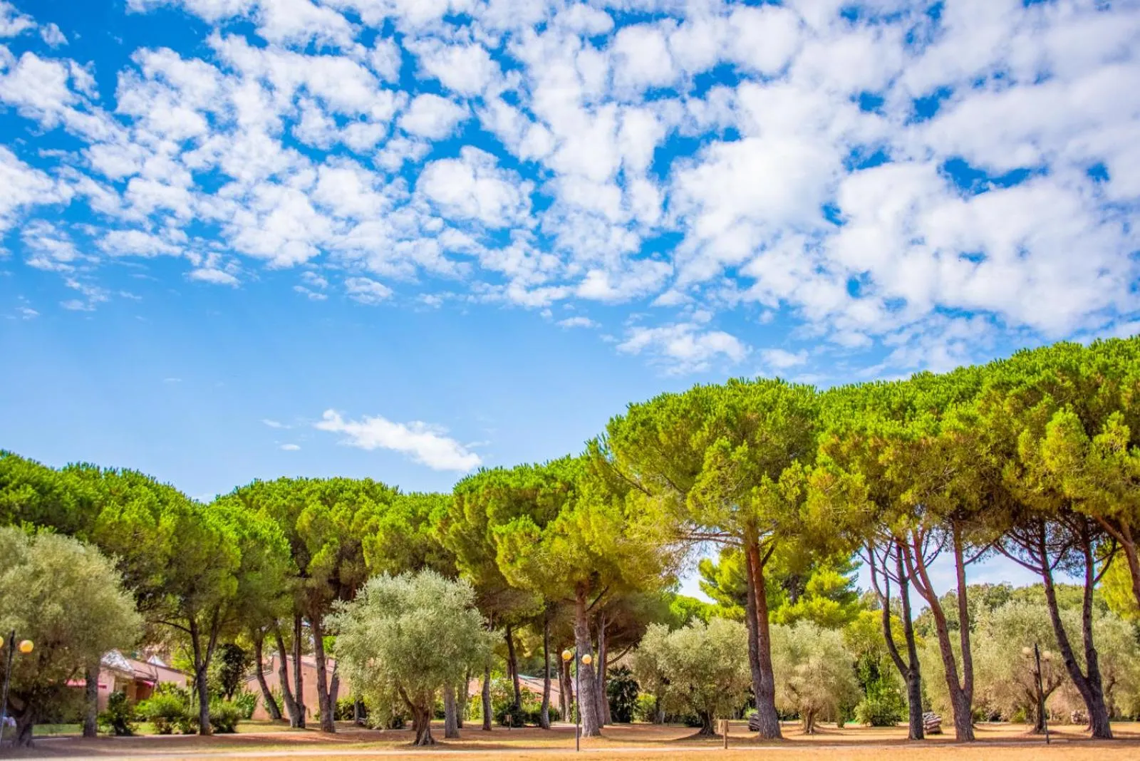 Nearby landmark in Hotel Riva degli Etruschi
