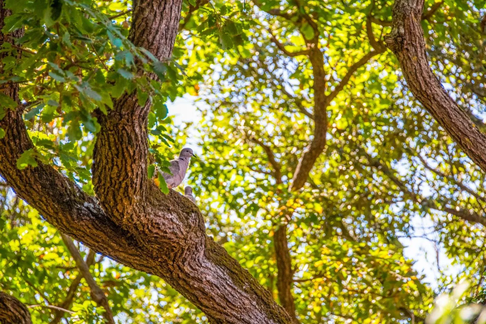 Spring in Hotel Riva degli Etruschi
