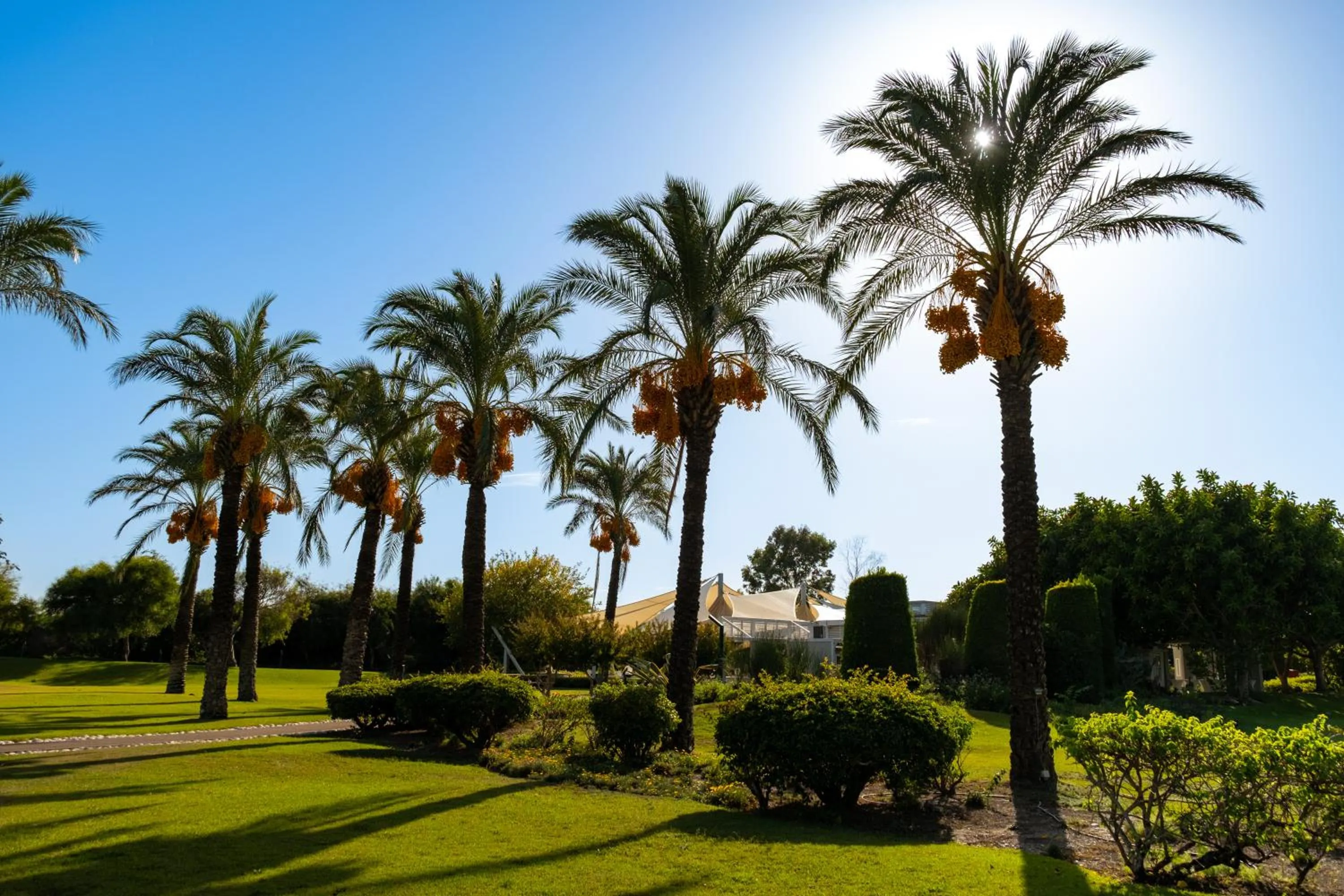 Garden in TUI BLUE Tropical