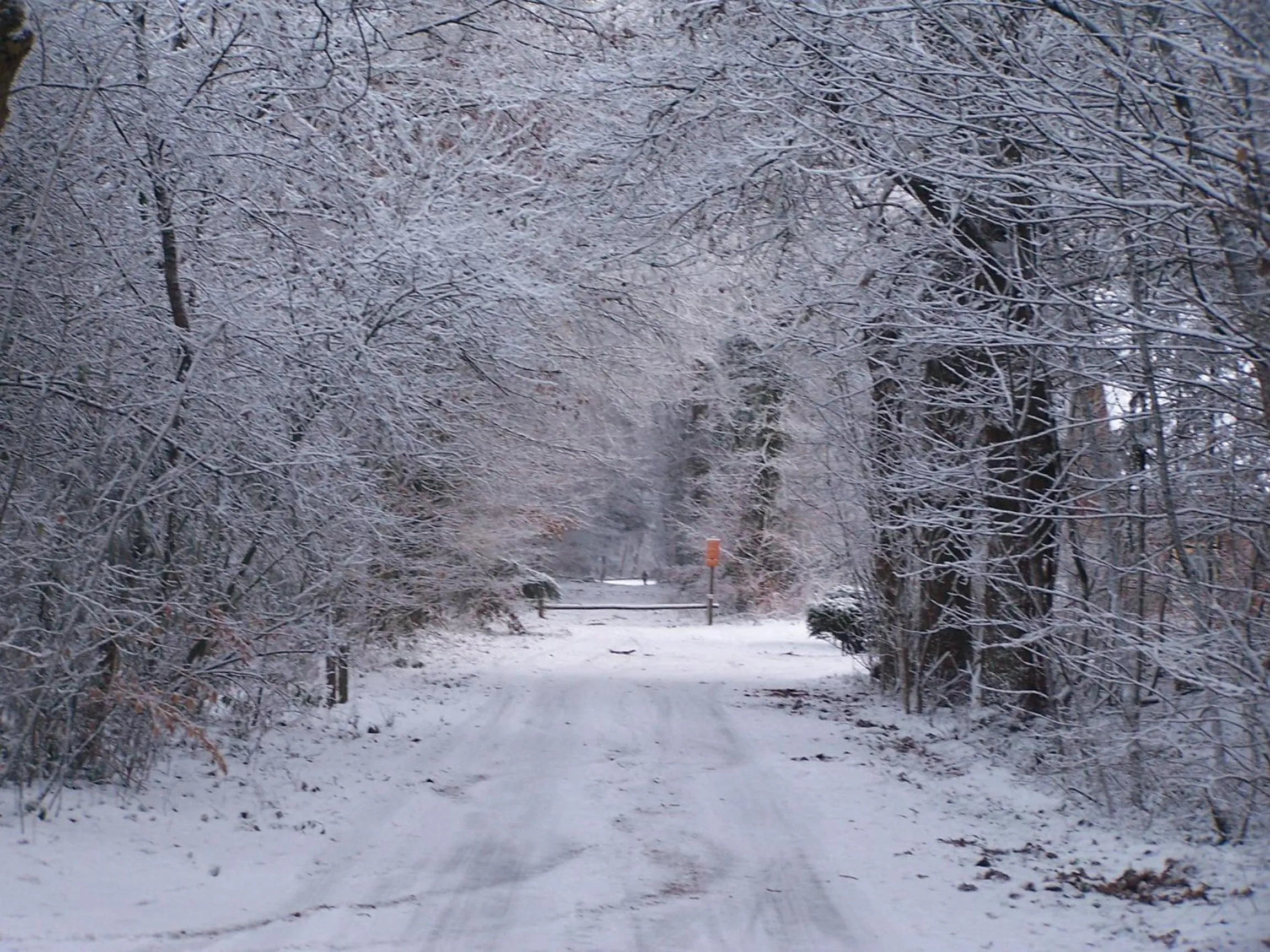 Winter in 't Ossenschot