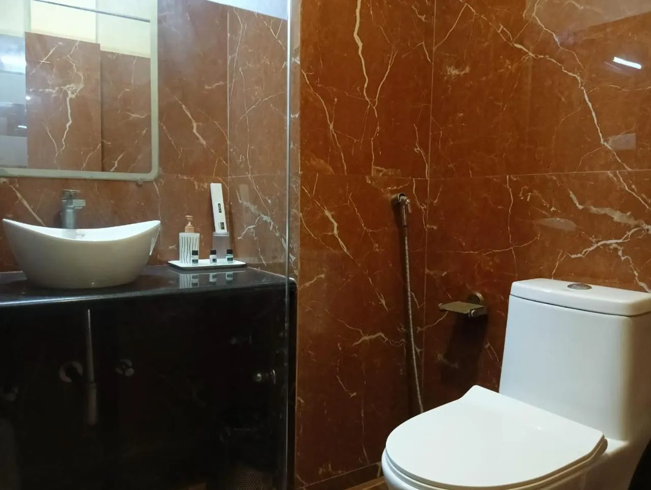 Toilet in Hotel Zion Inn, Cantonment, Varanasi