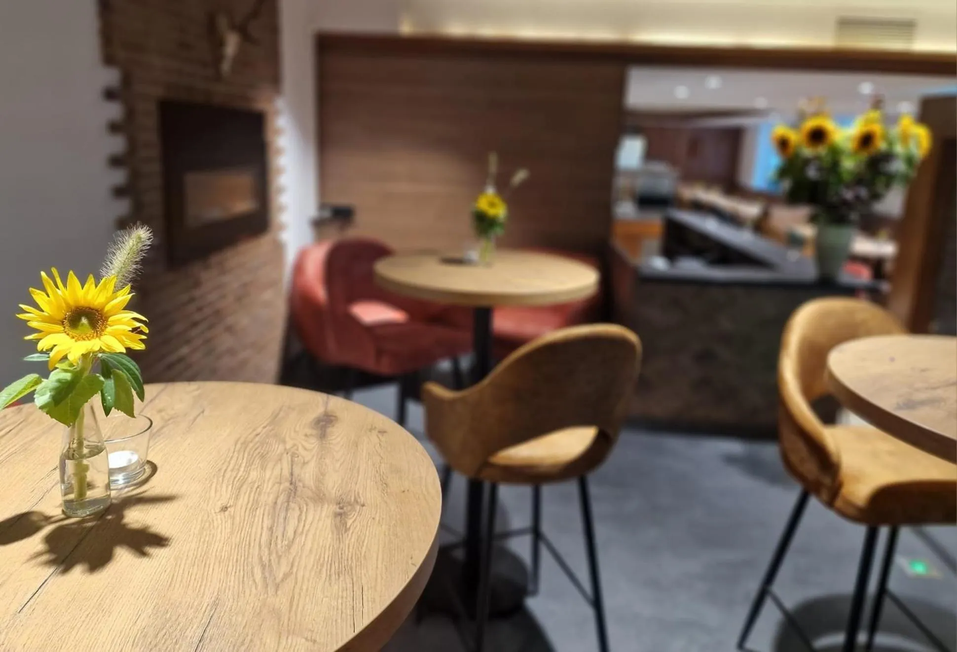 Restaurant/places to eat in Hotel Fürstenhof