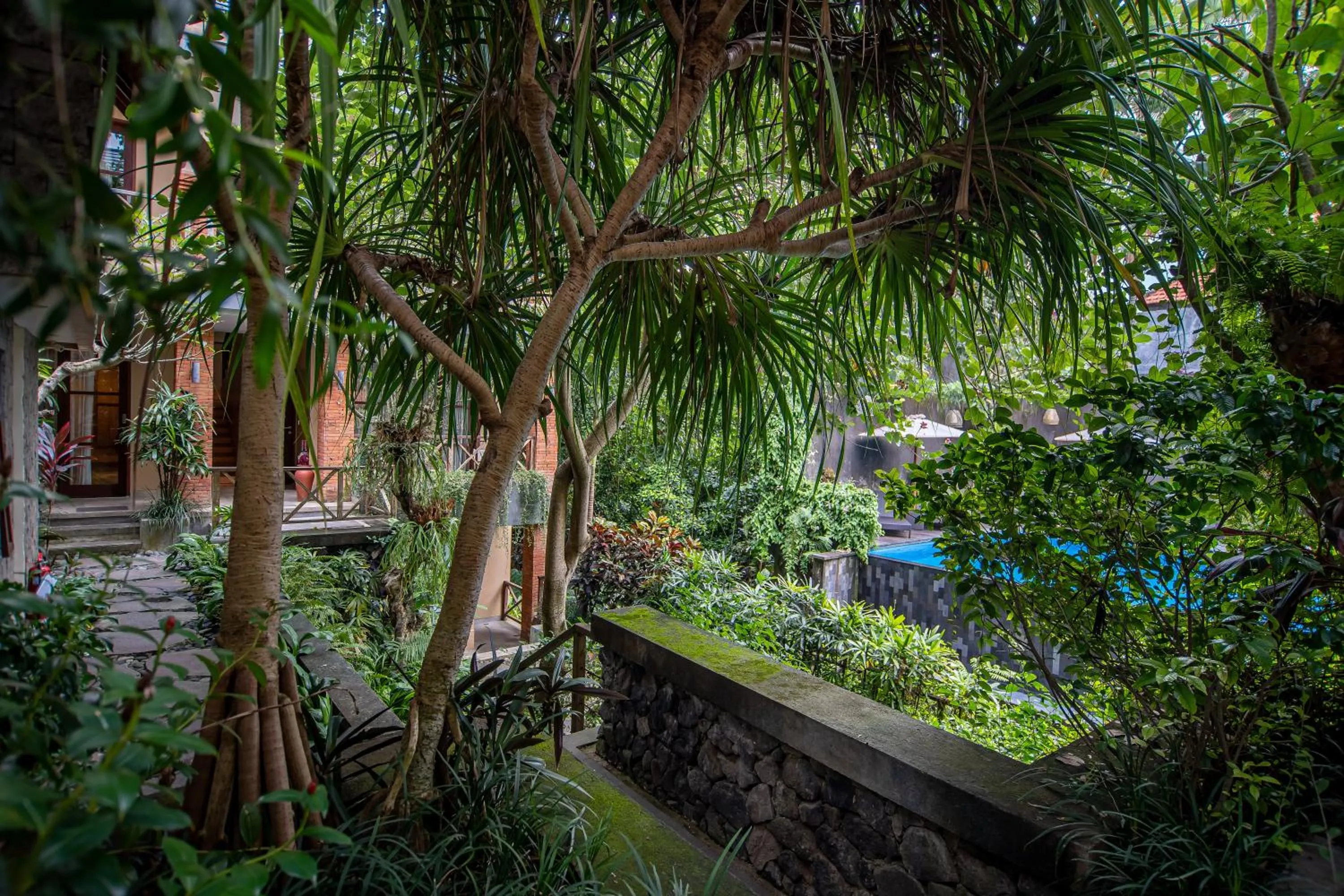 Natural landscape in Merak Village by Prasi