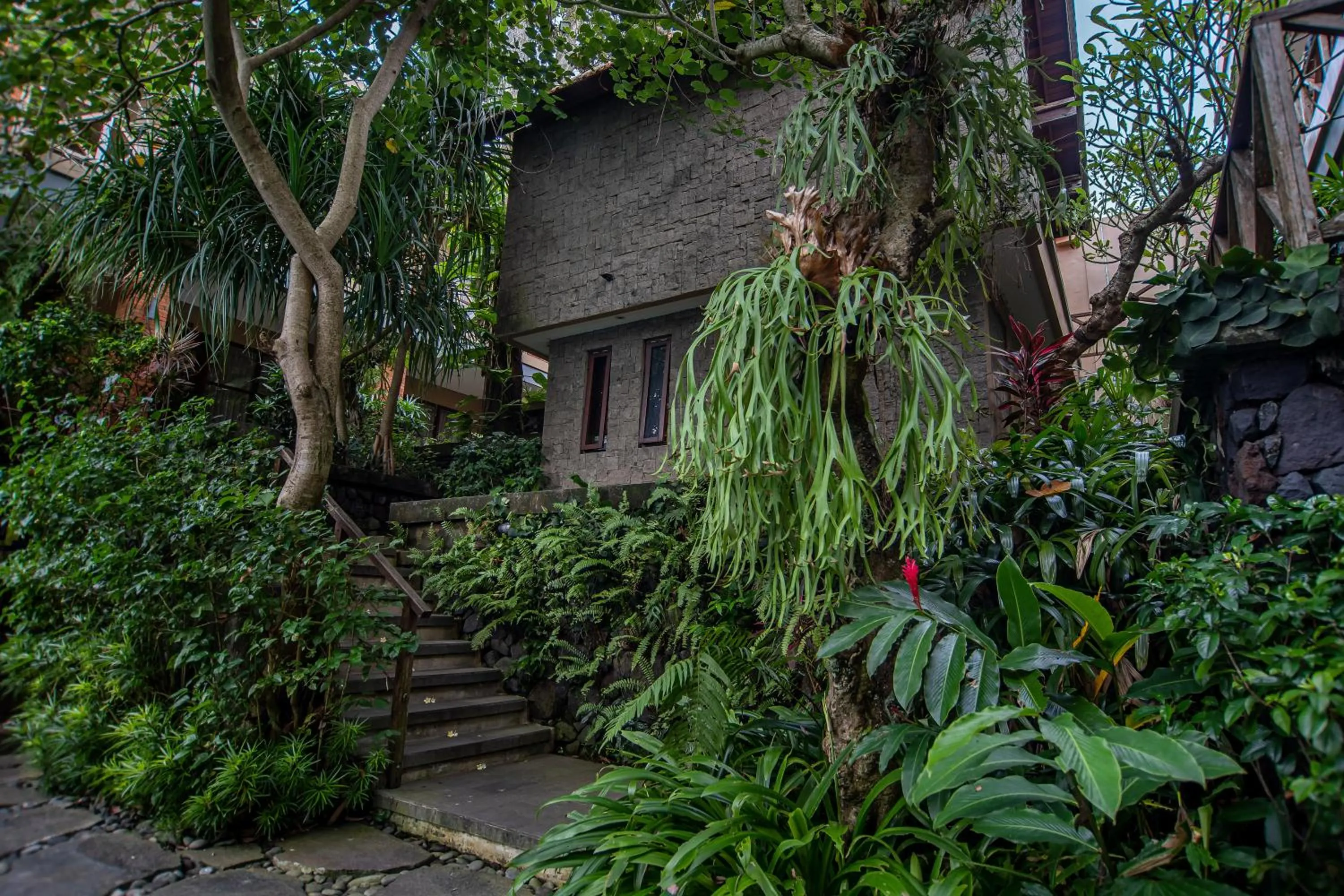 Garden in Merak Village by Prasi