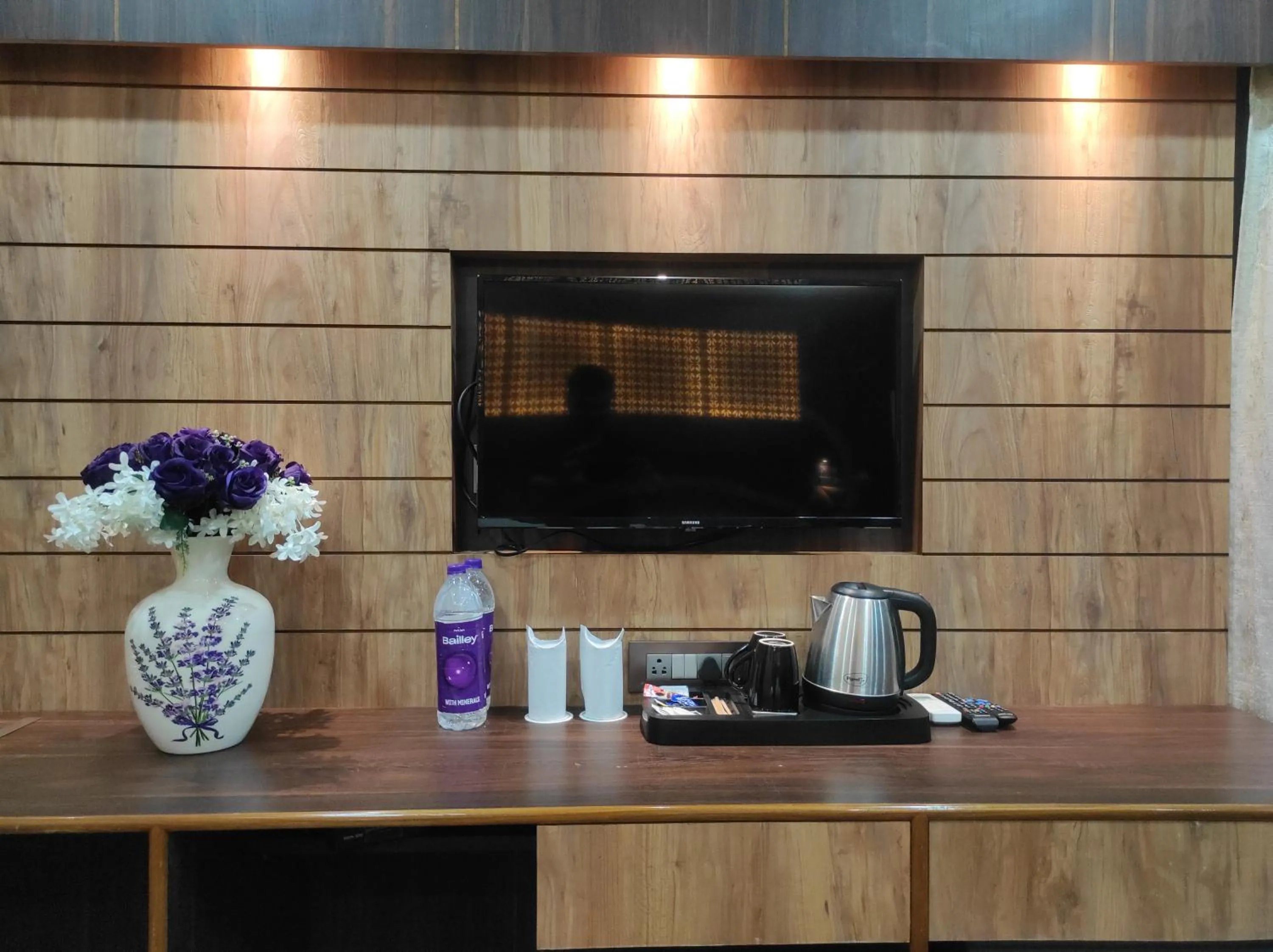 TV and multimedia in Hotel Aavas Inn