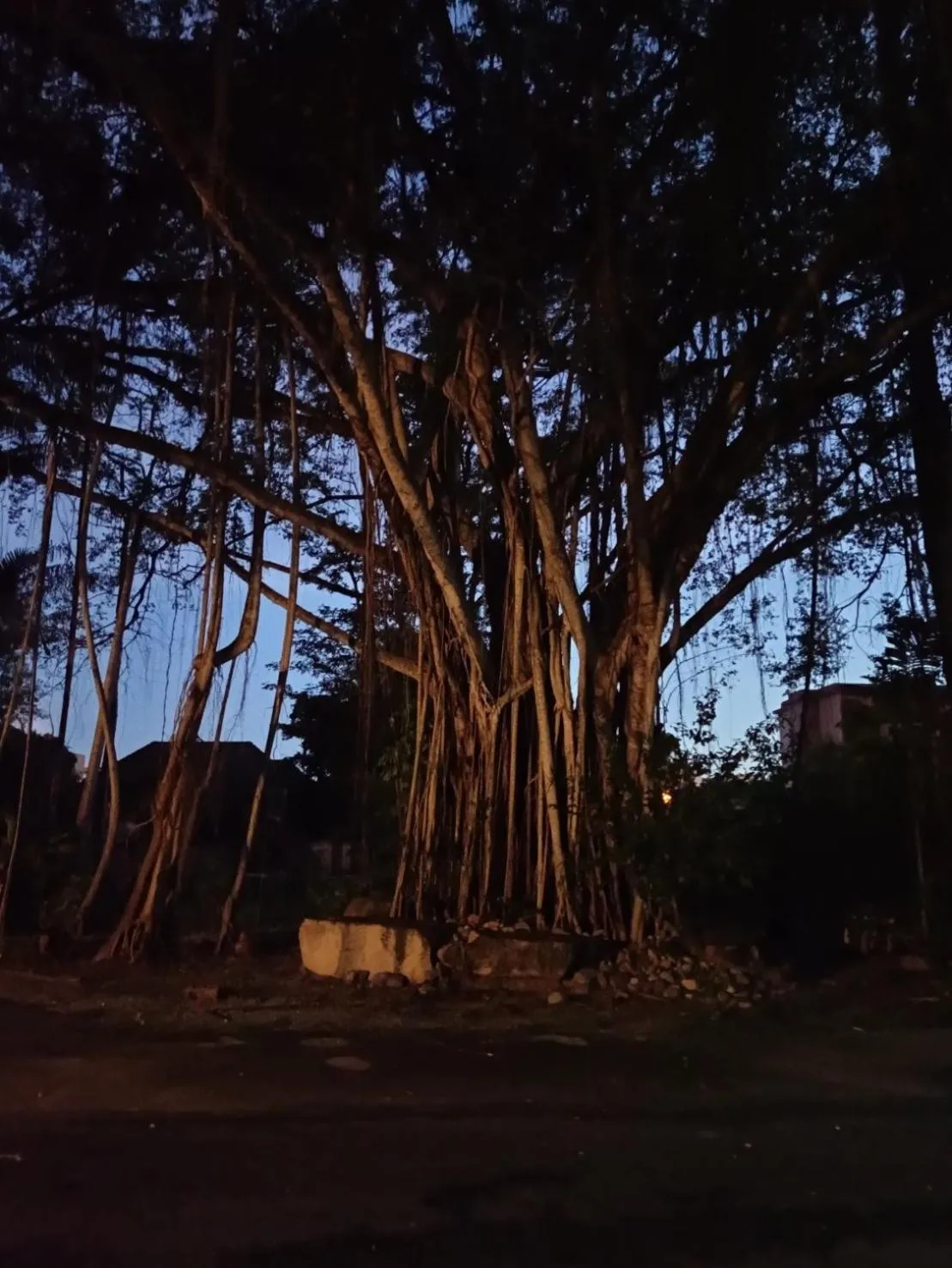 View (from property/room) in Ban Nam Mao Resort