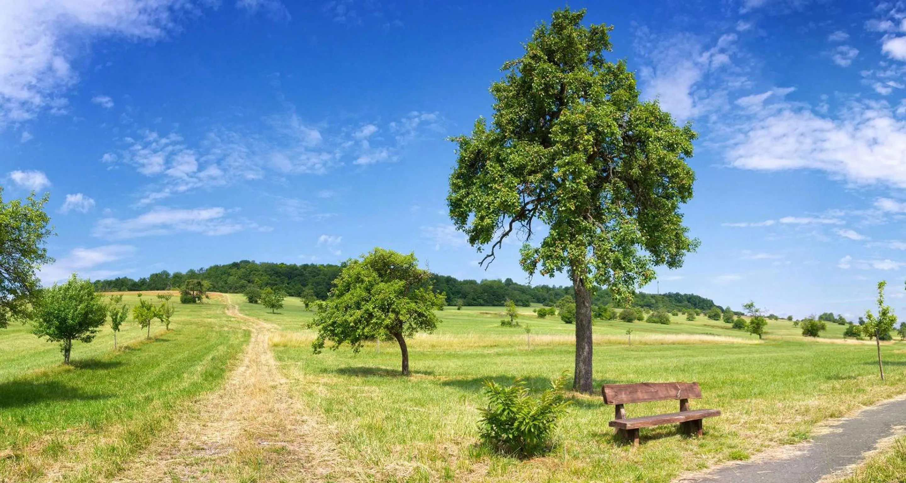 Nearby landmark in Best Western Victor's Residenz-Hotel Rodenhof