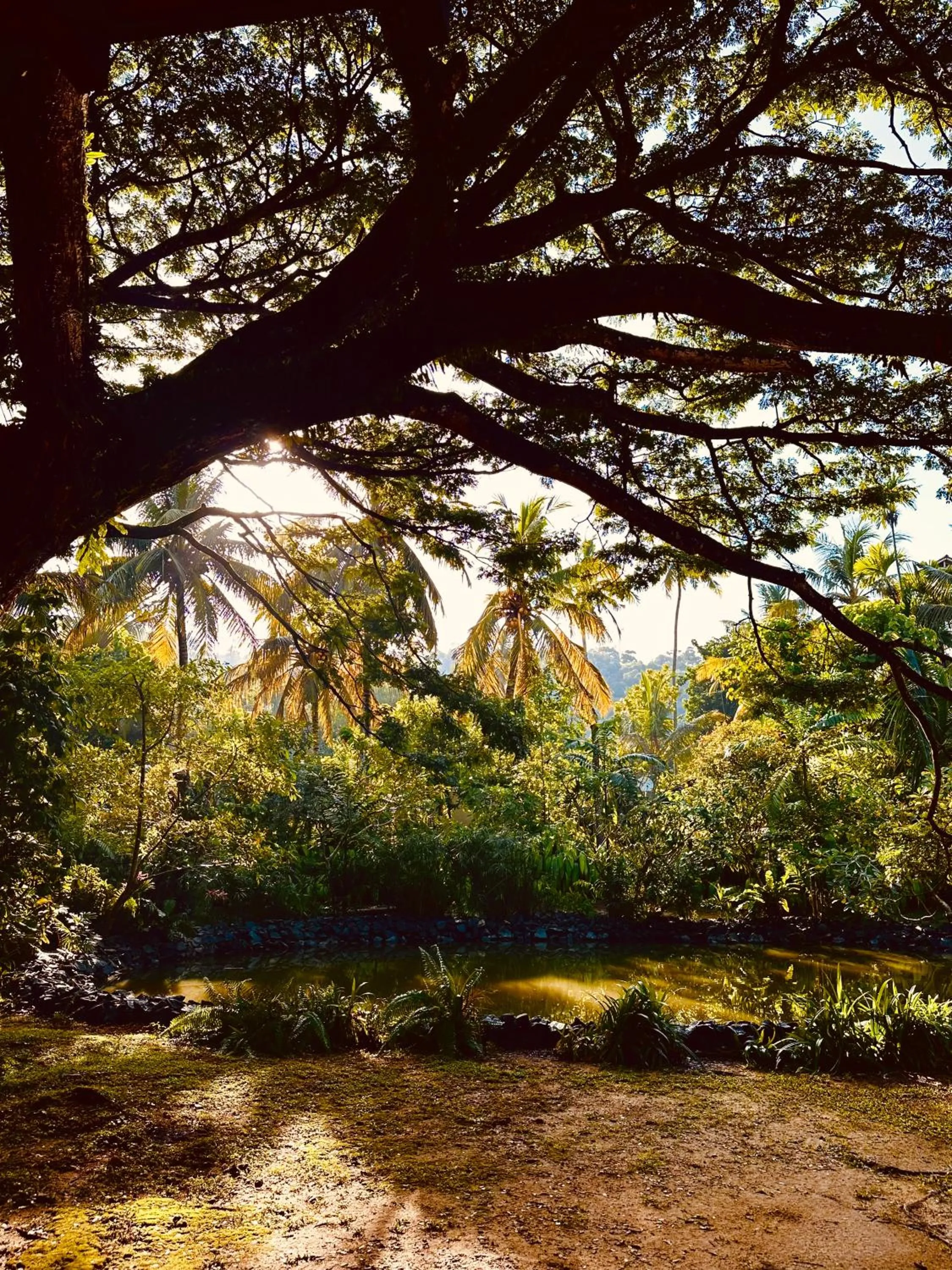 Dunes Unawatuna Hotel