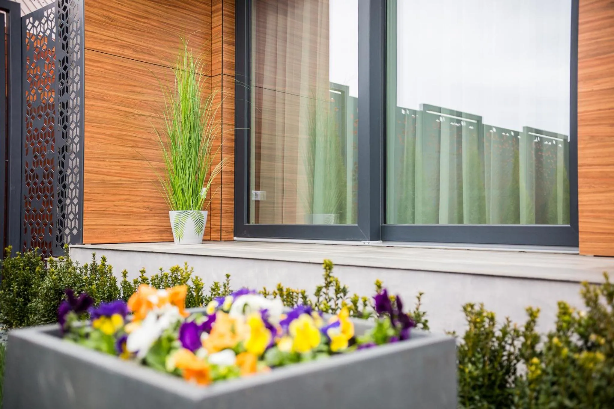 Garden view in DoubleL Studios
