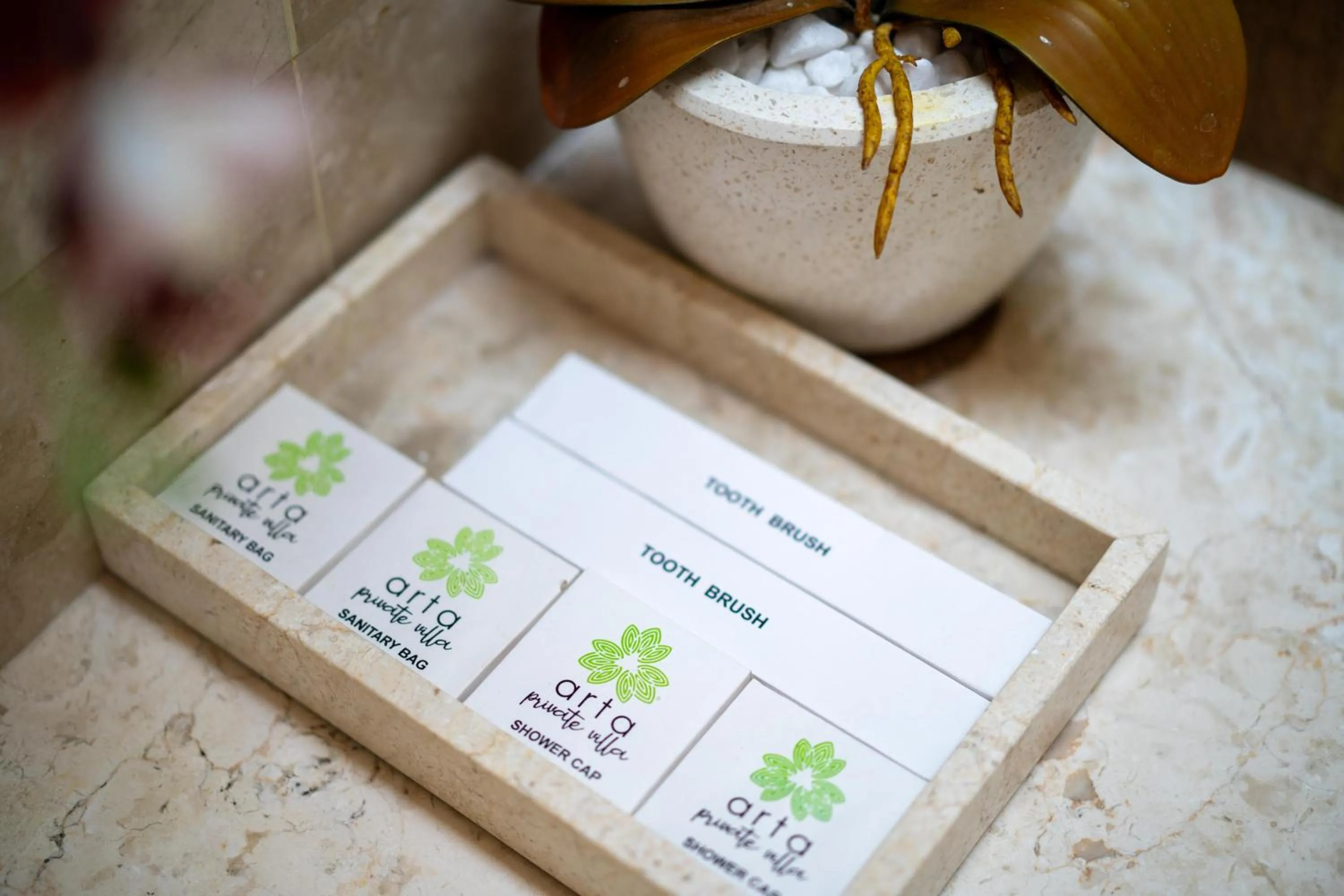 Area and facilities in Arta Private Villa