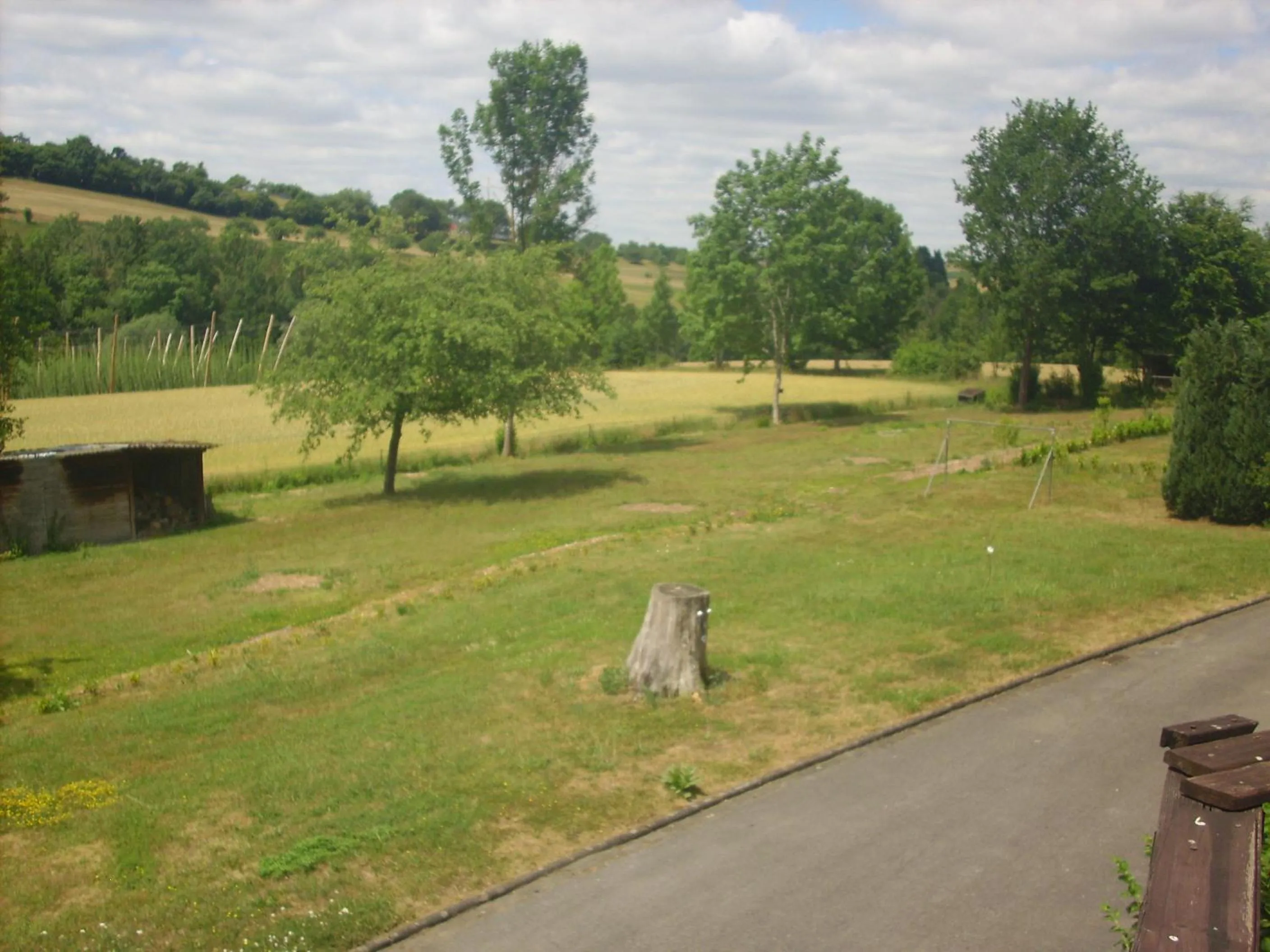 Garden in Hotel Europa