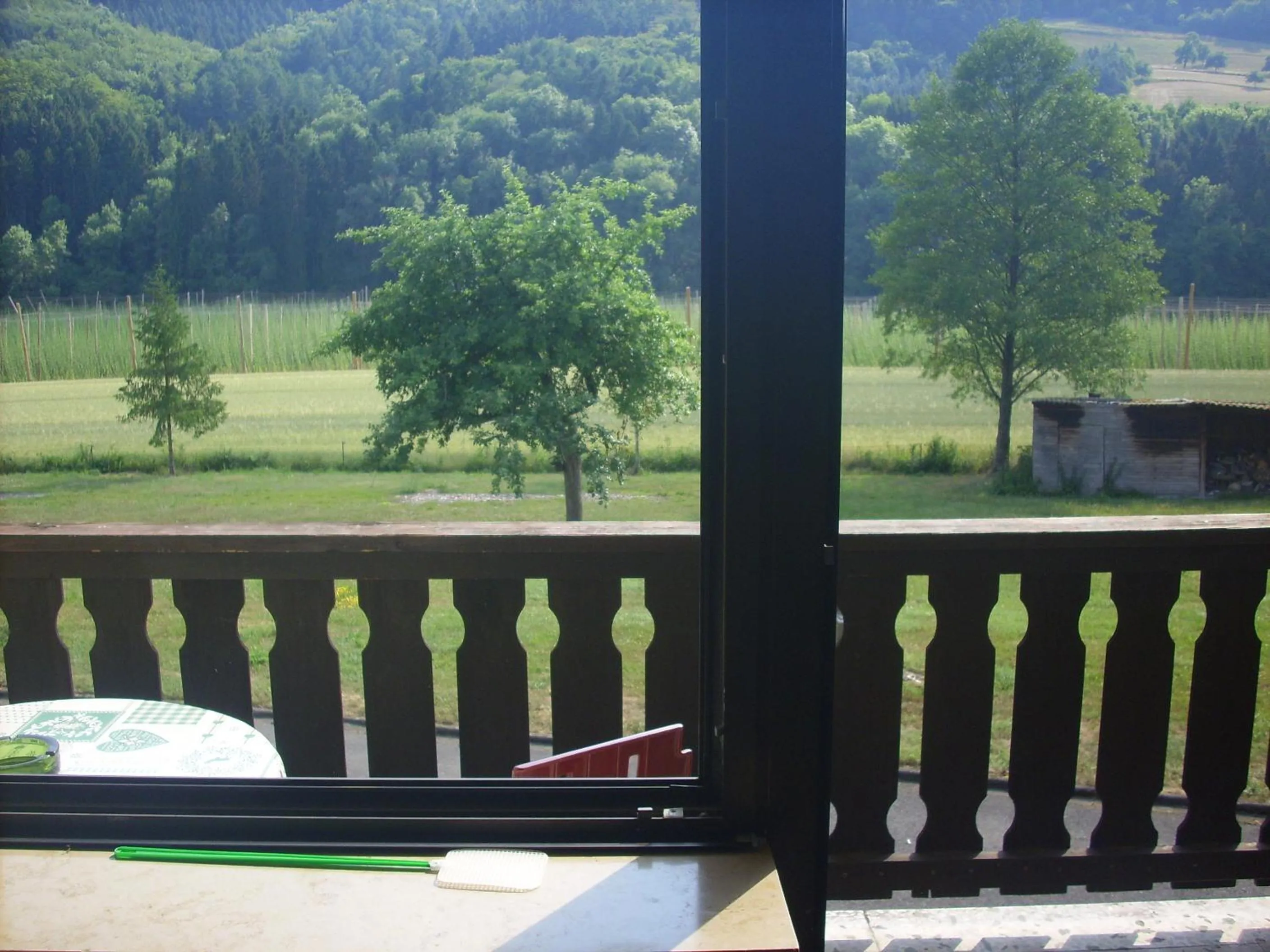 Garden view in Hotel Europa