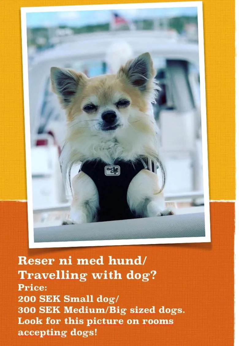 Animals in Lägenhetshotell Varvet