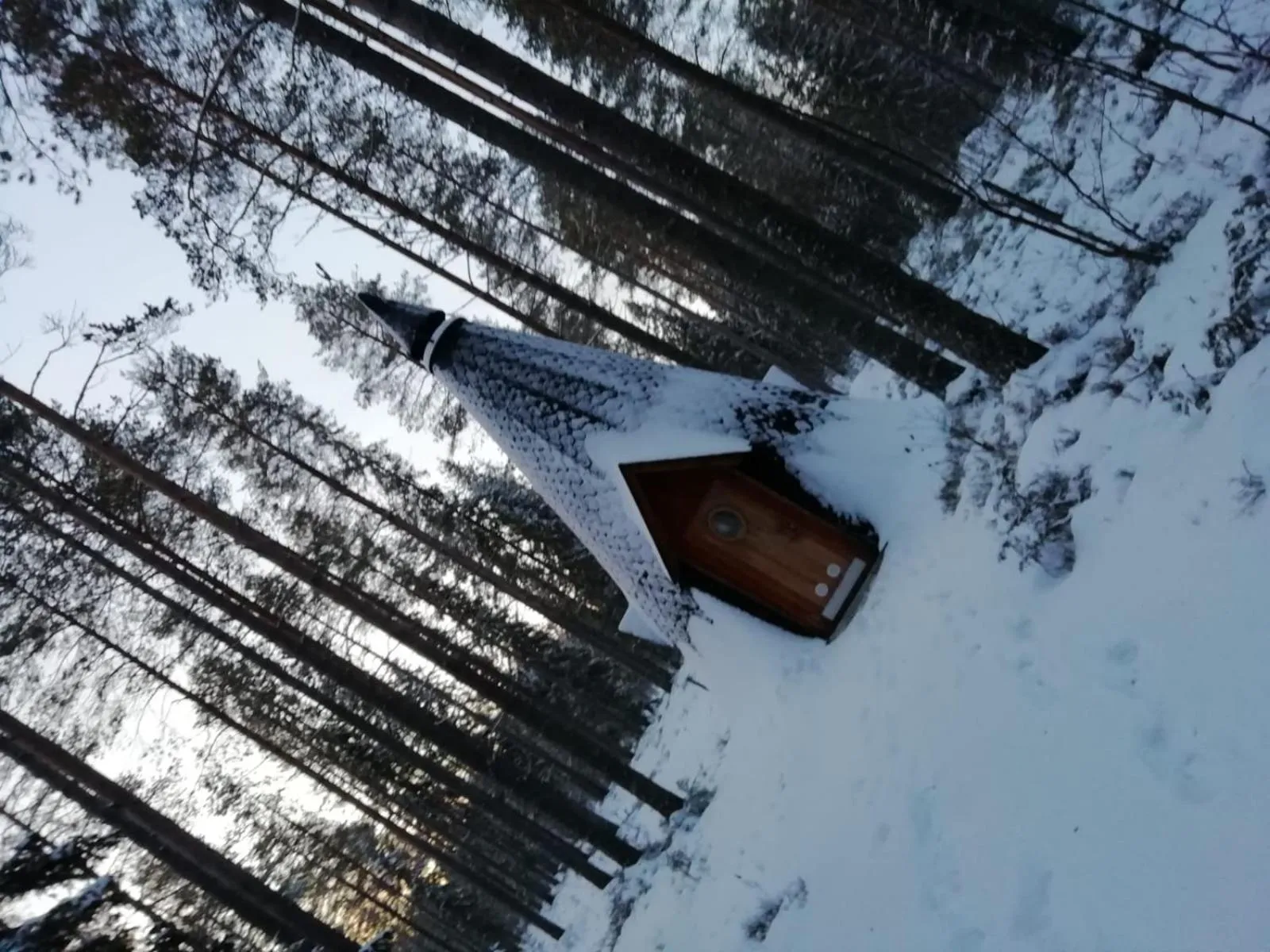 BBQ facilities in Old Pine Husky Lodge